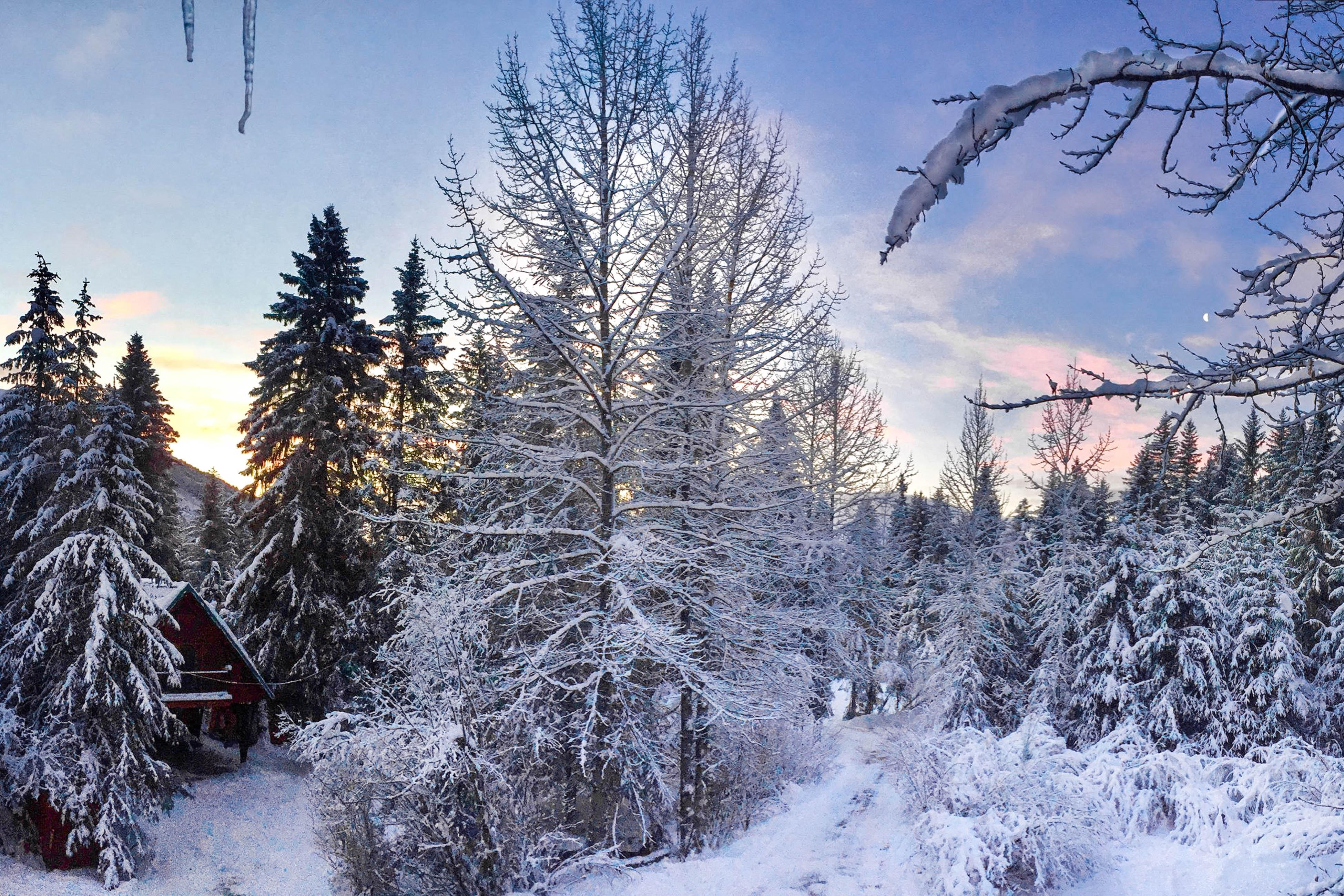 St Moritz House & Apartment 5