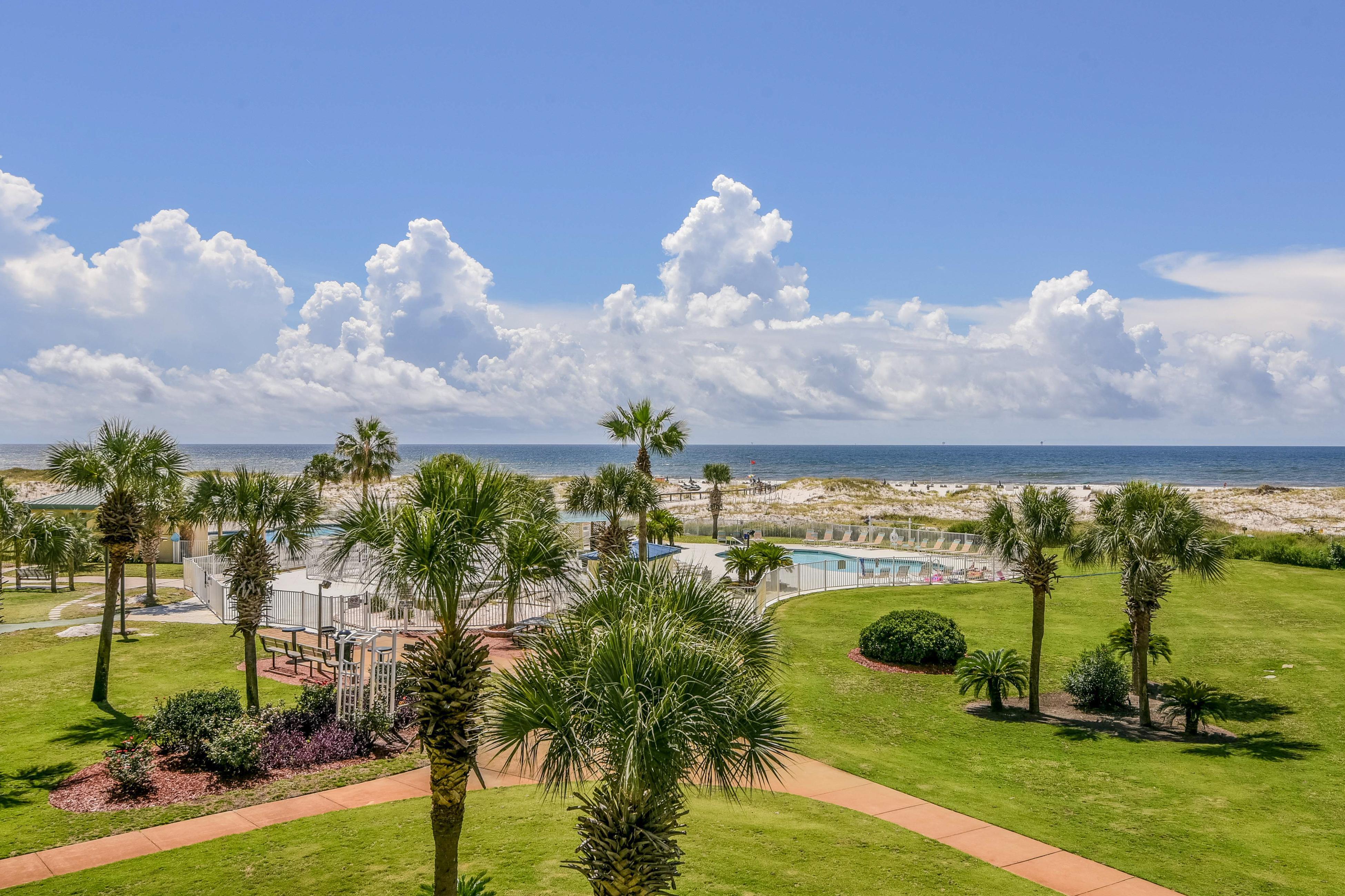 Plantation Palms #6311