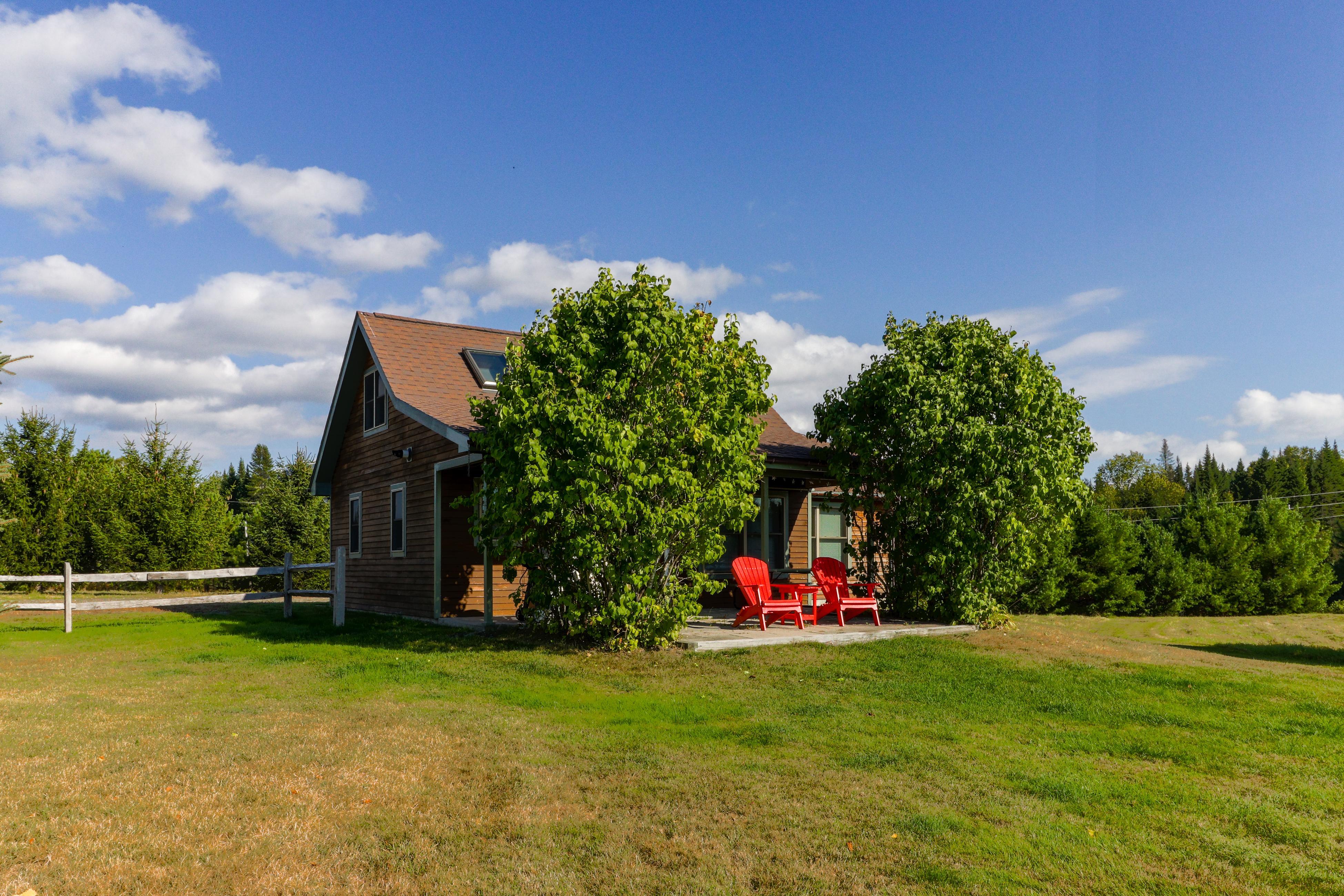 Moose Dance & Loon Song 6