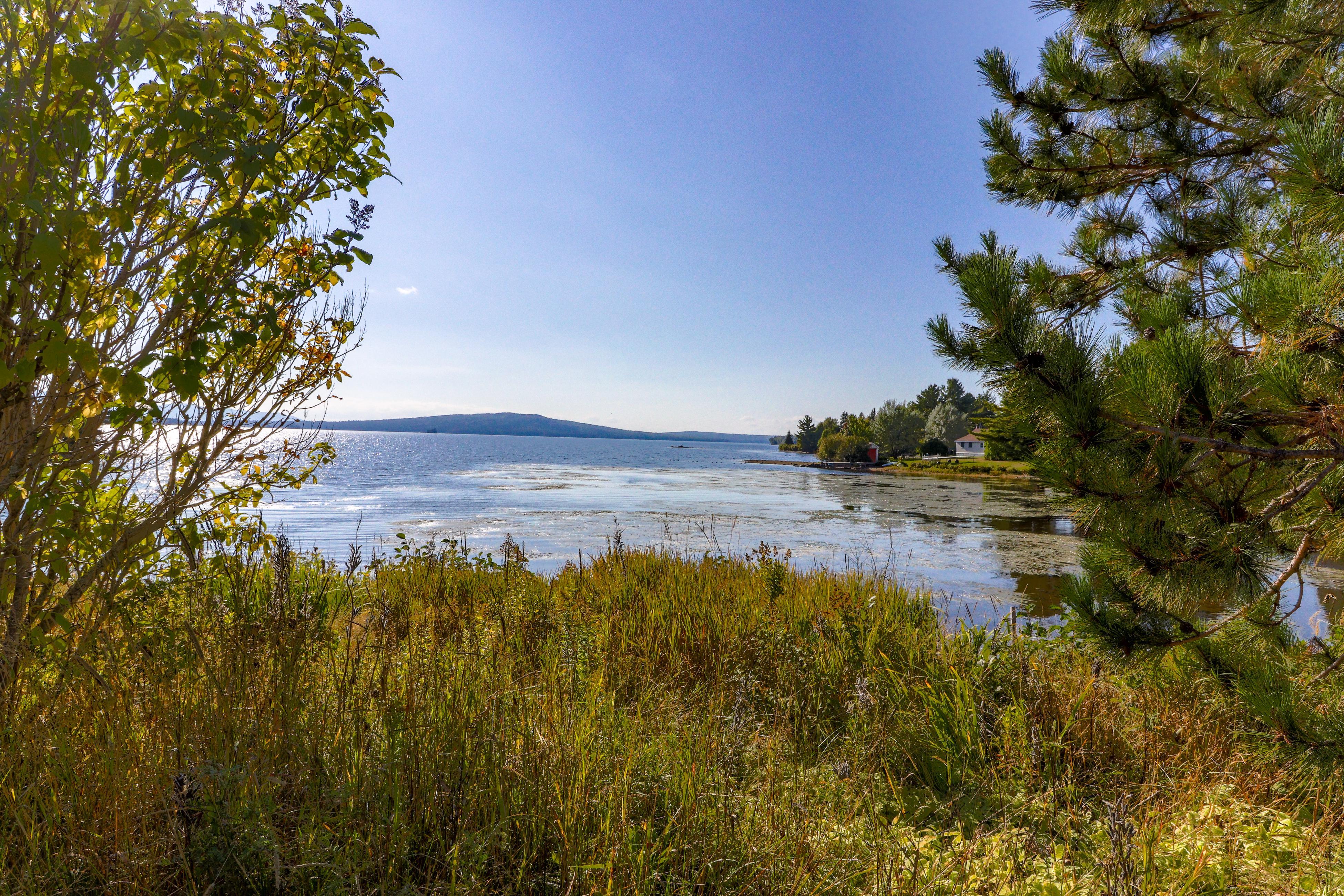 Moose Dance & Loon Song 4