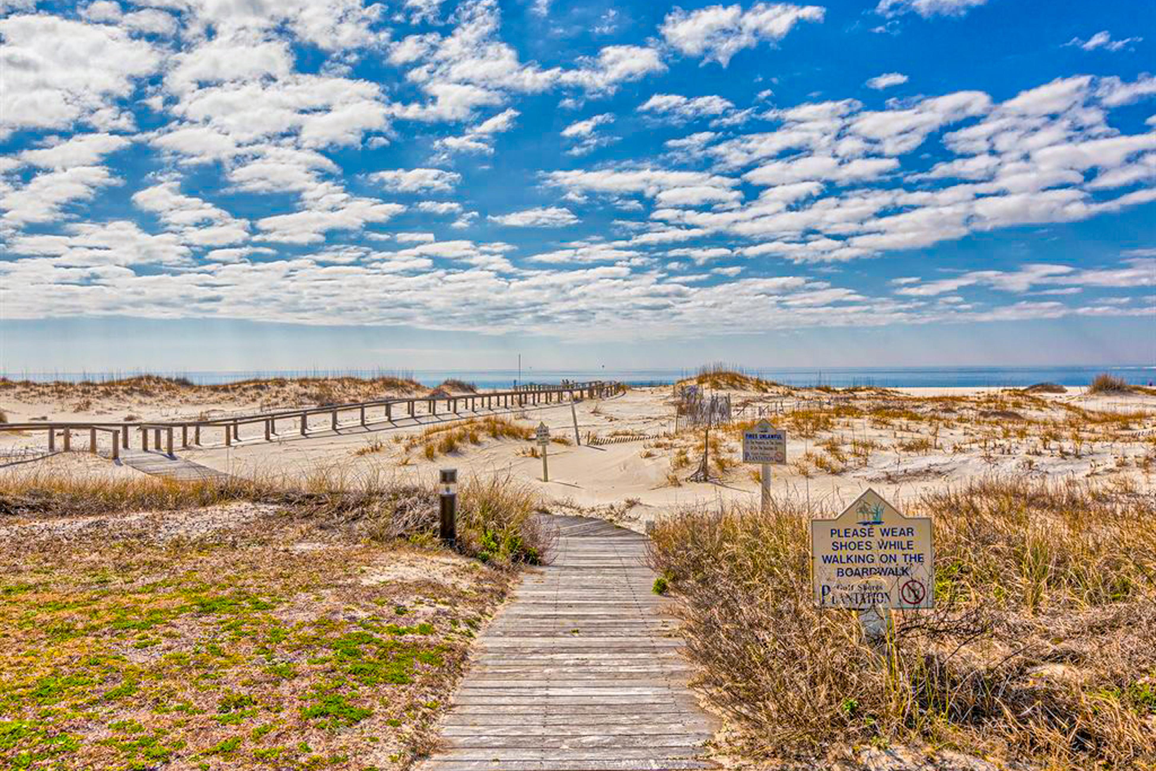 Plantation Palms #6510 6