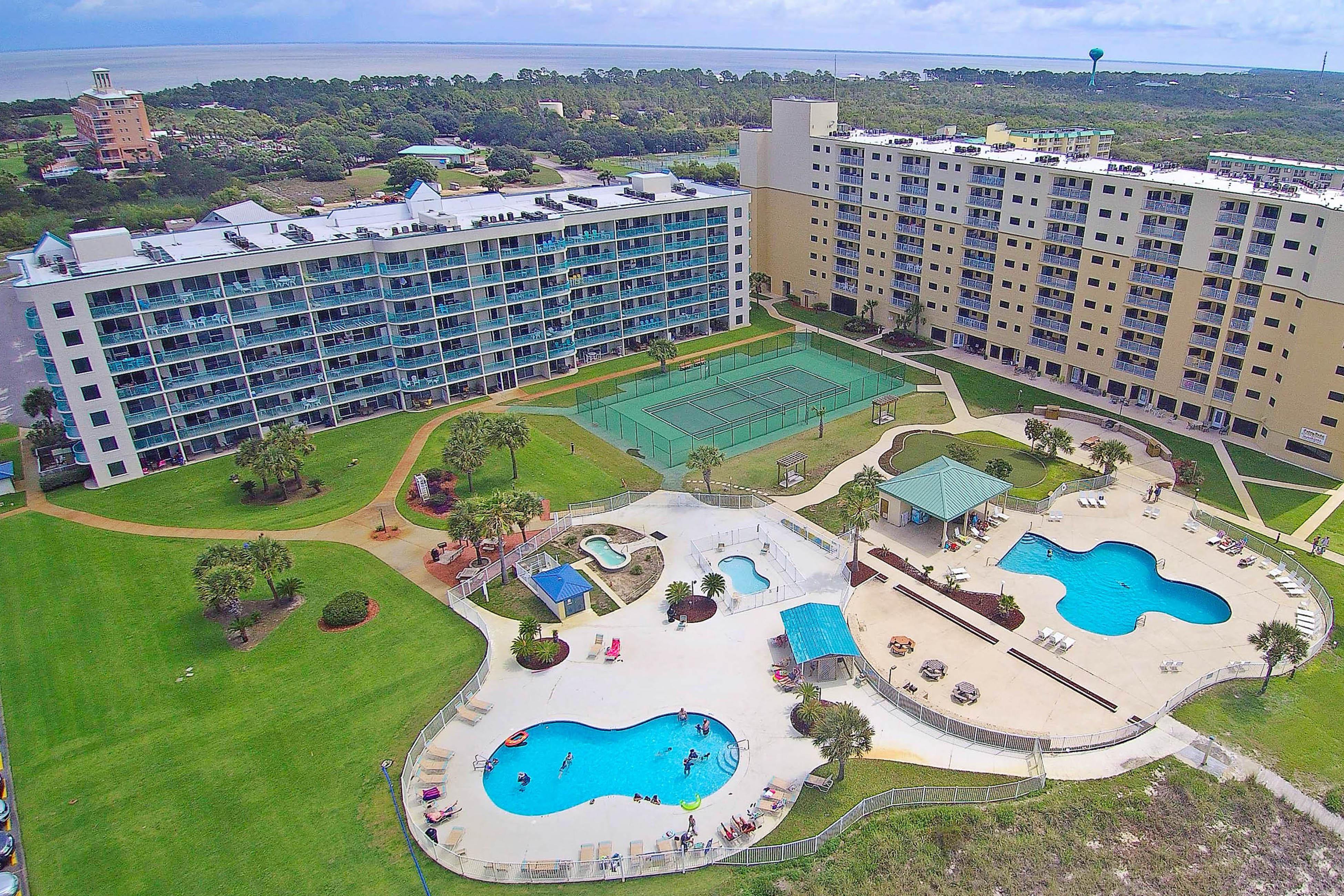 Plantation Palms #6510 2