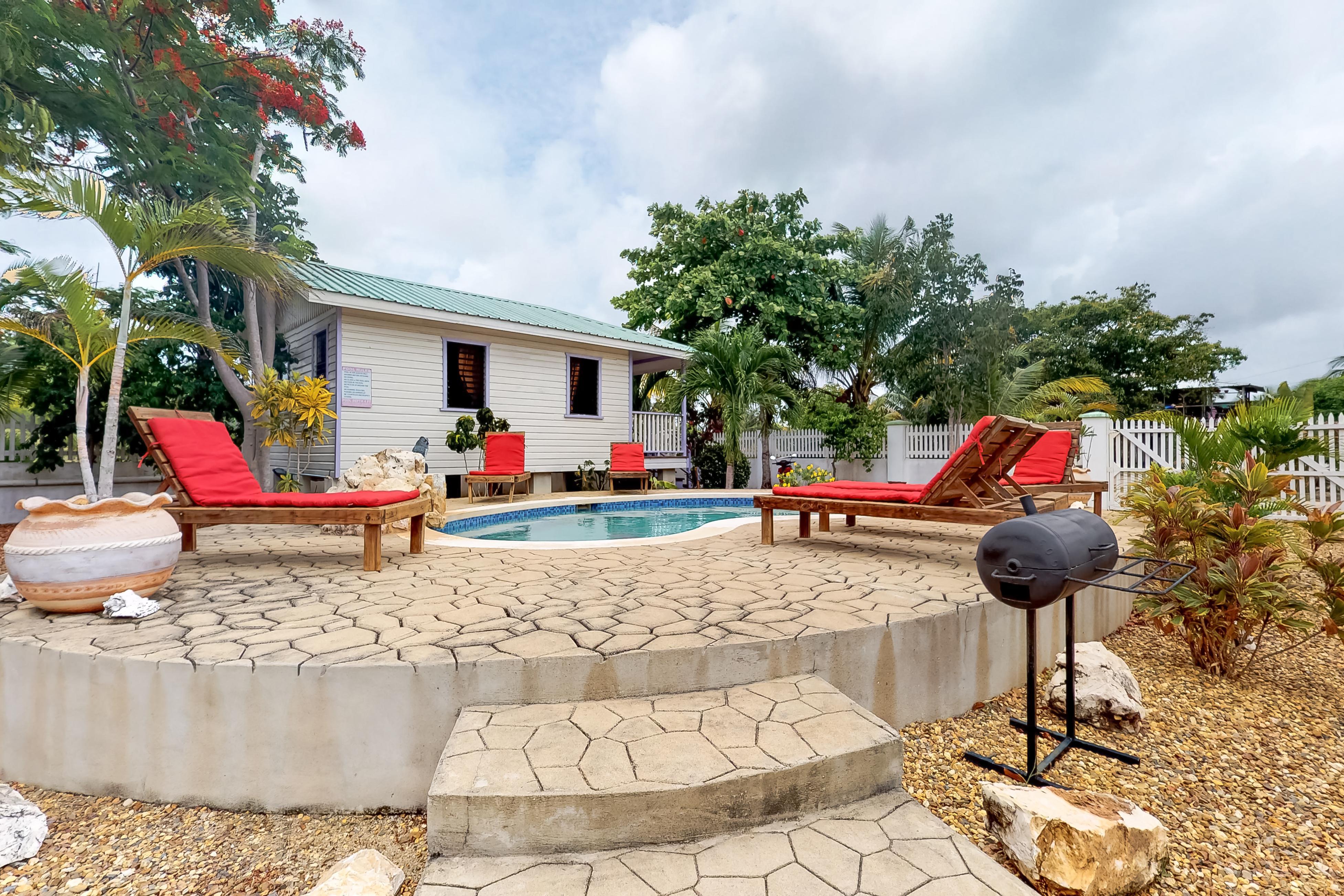 Purple Crown Fairy Cabana at Latitude Adjustment -Gold Standard Certified 2