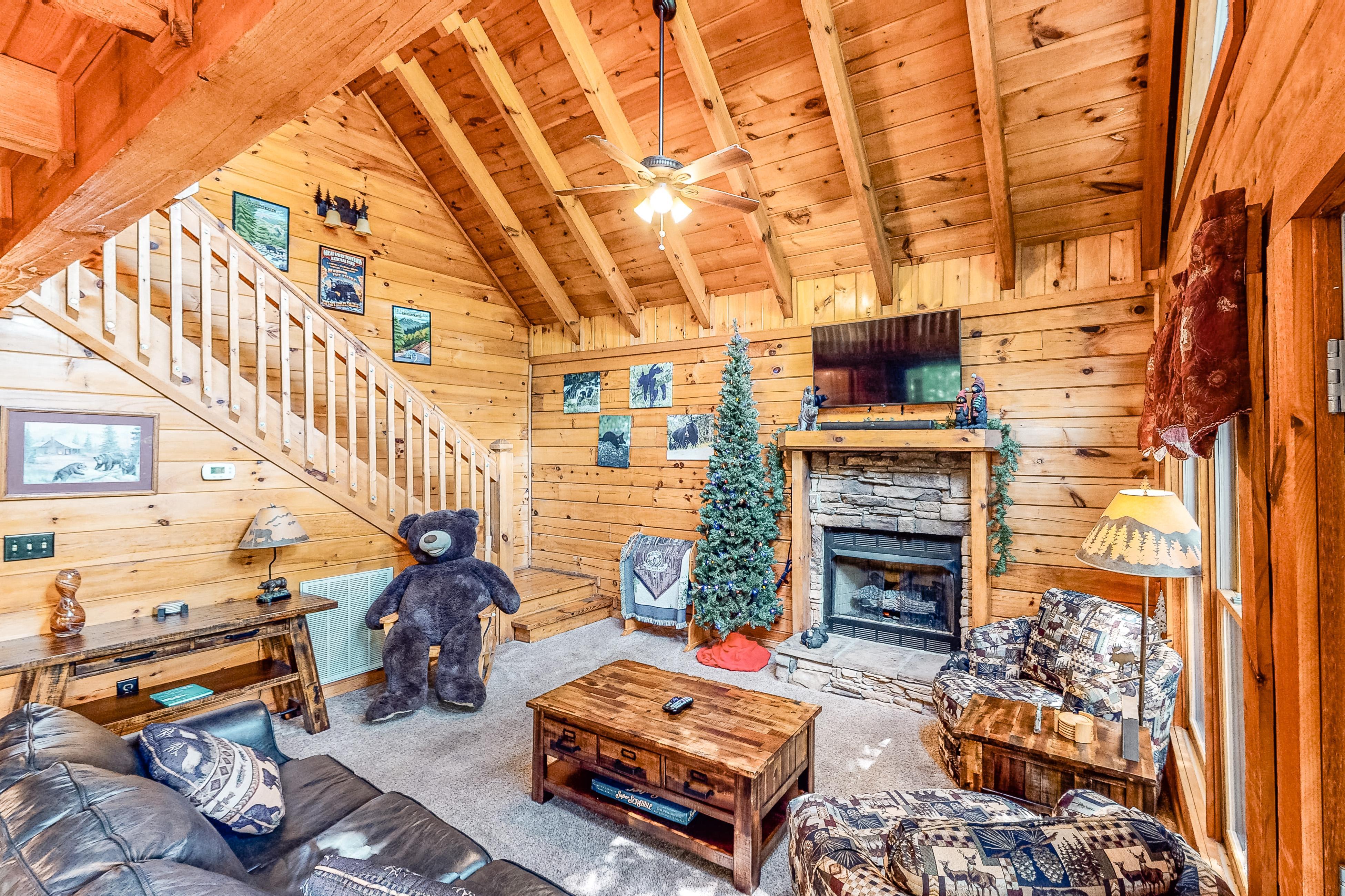 Beary Comfy | Photo 2