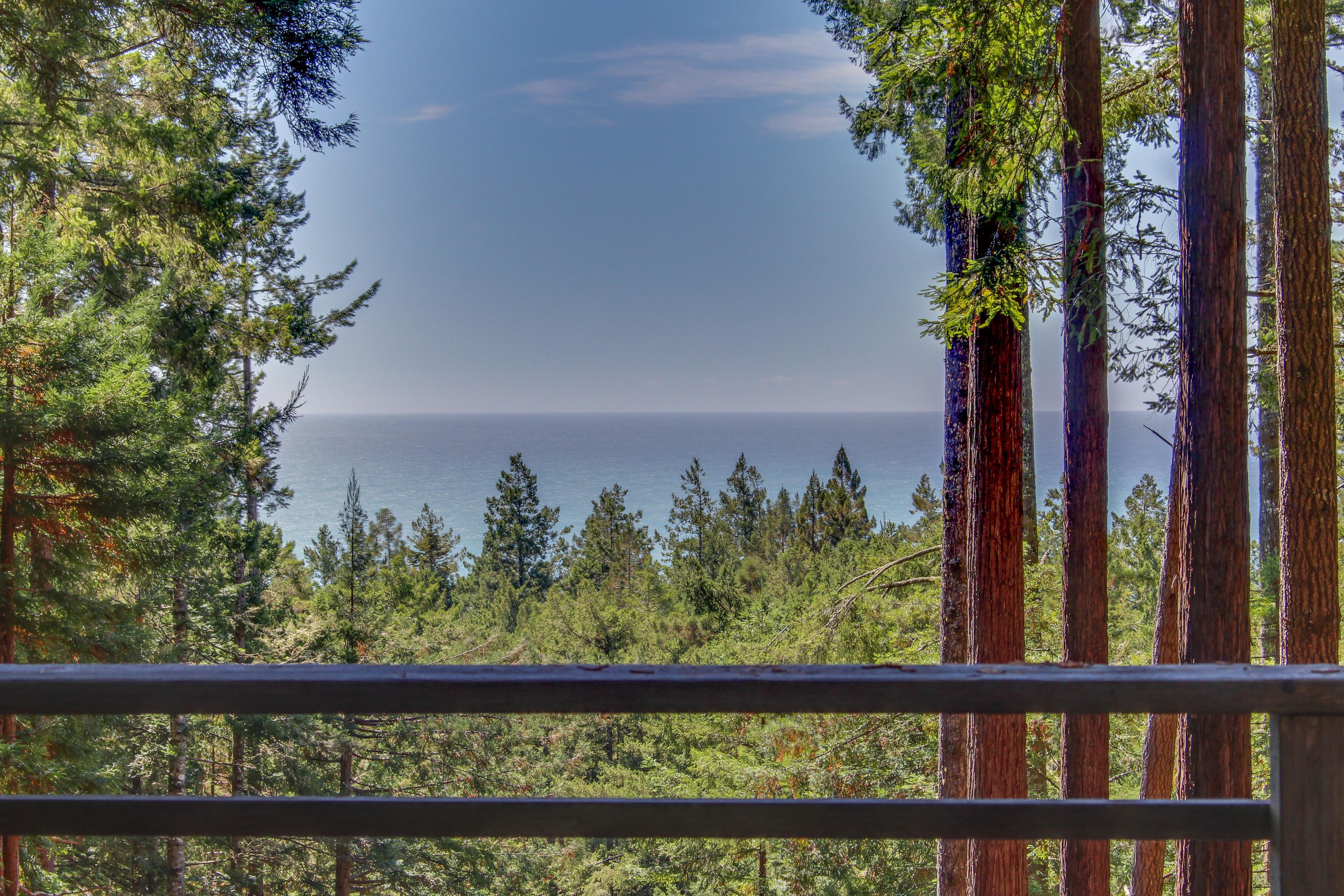The Redwood House