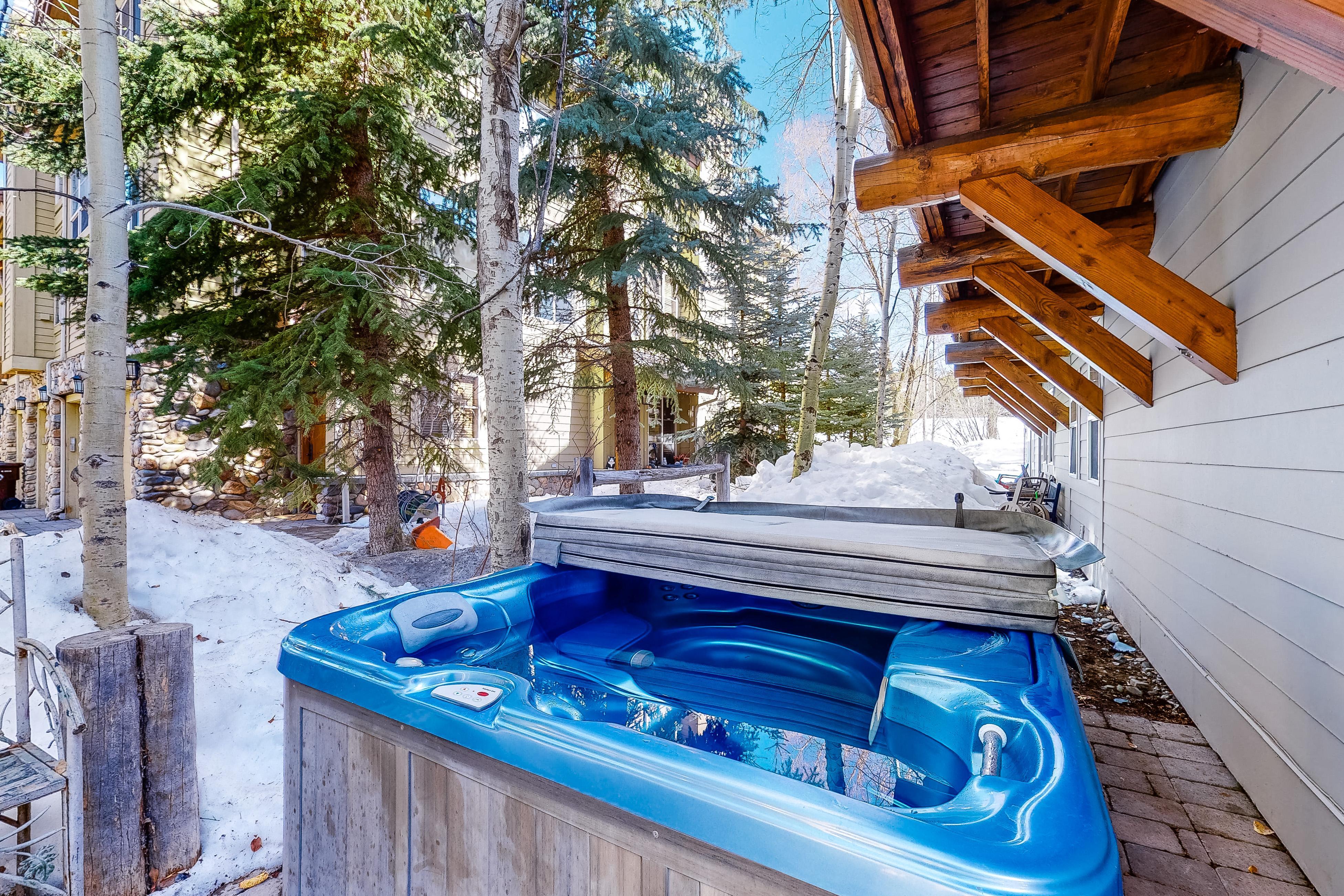 Sun Bird Getaway at River Run | Photo 2