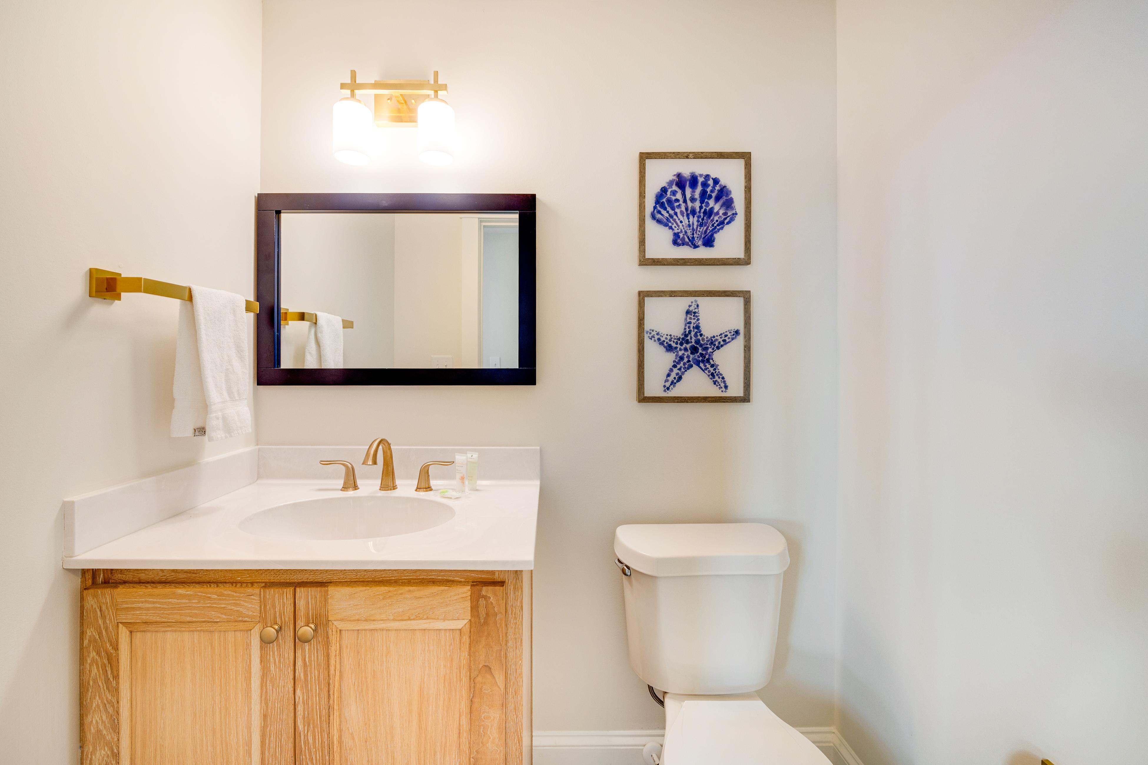 Paradox Paradise | Photo 21