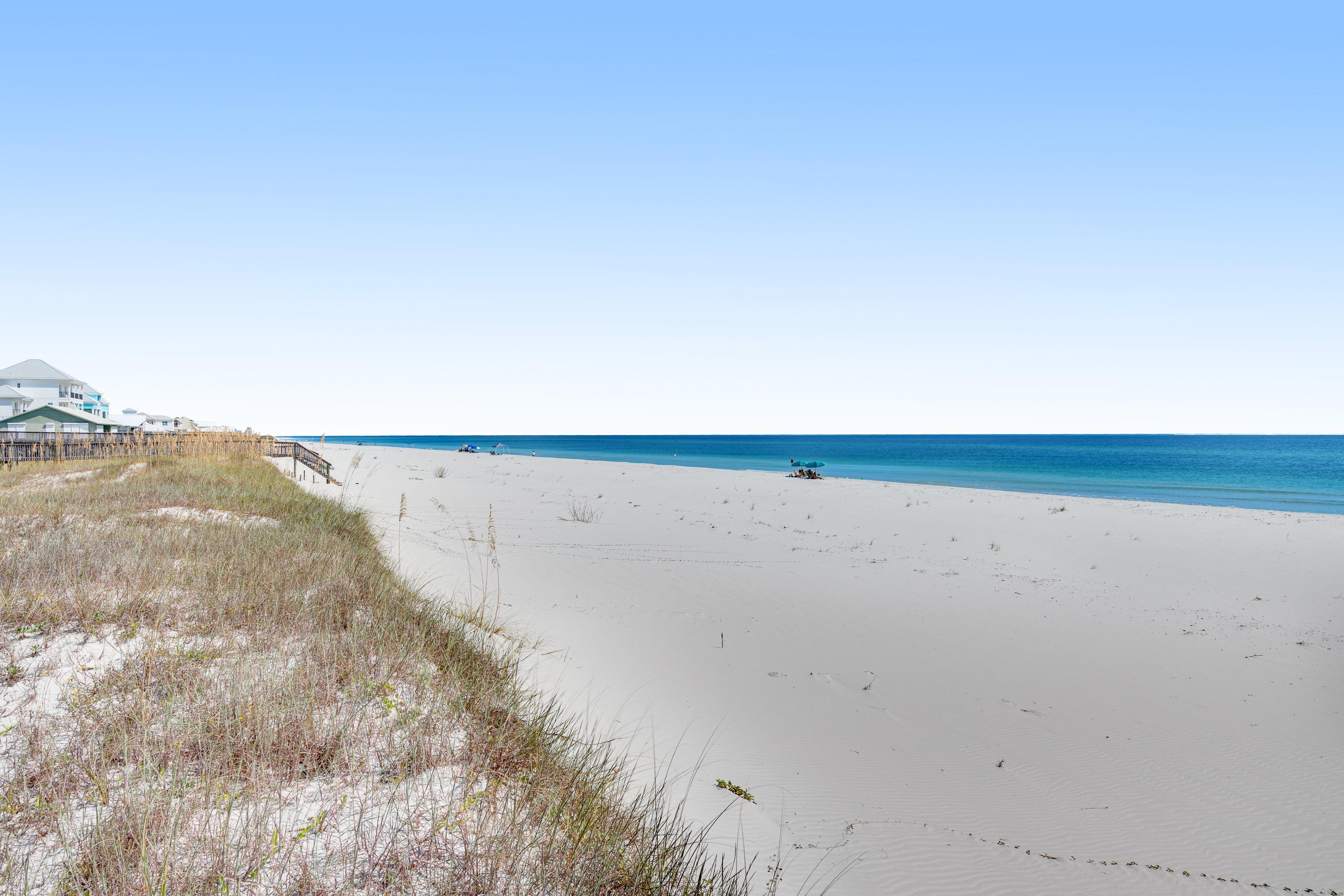 Paradox Paradise | Photo 46