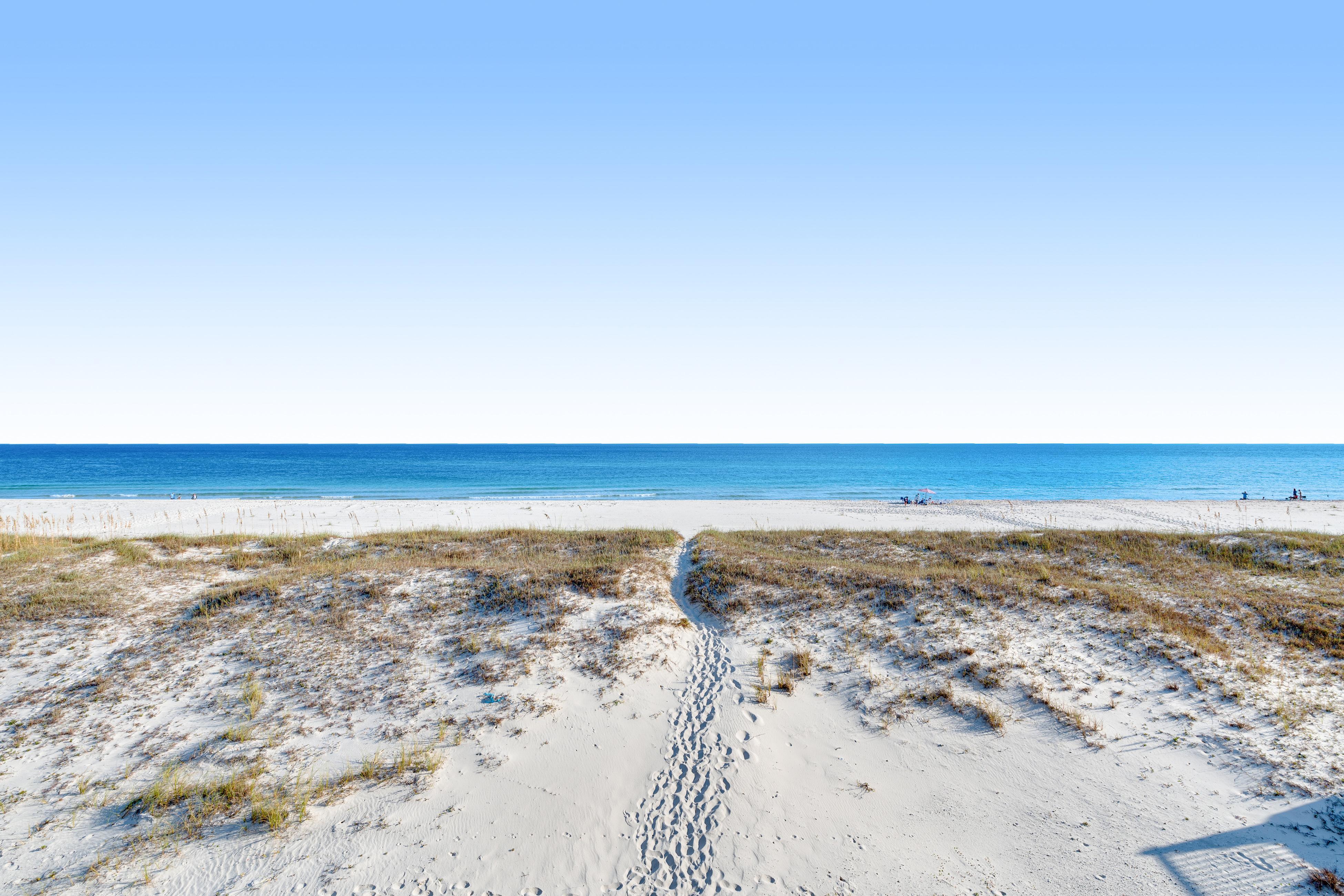 Paradox Paradise | Photo 30