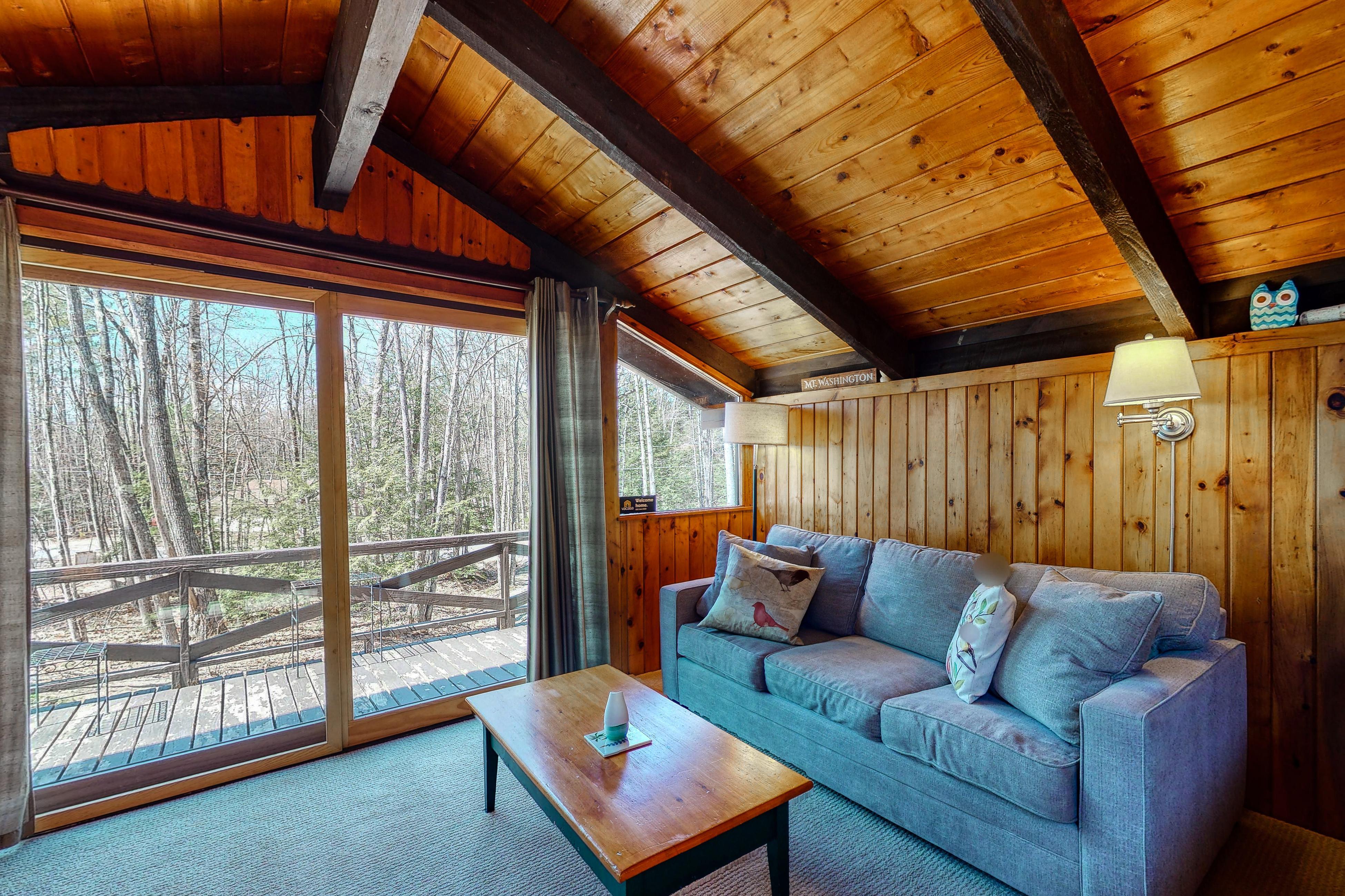 Saco Sunshine Delight 4