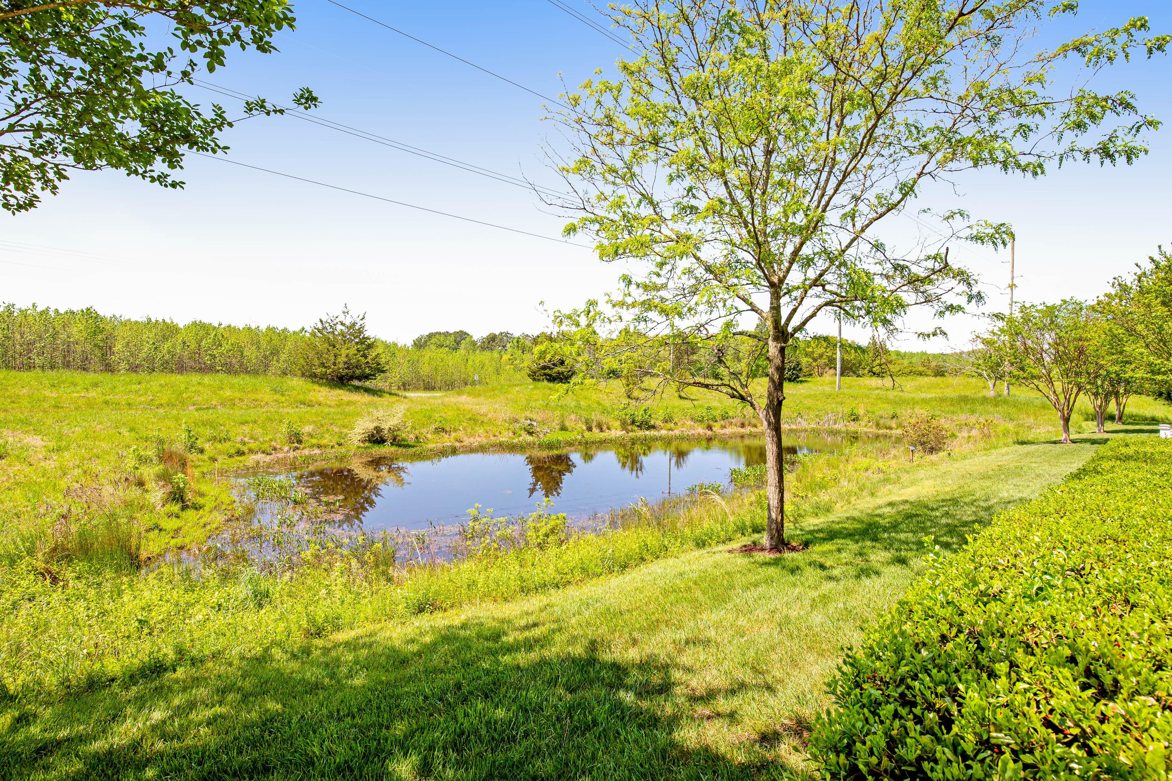 Bear Trap Dunes - 210G October Glory Ave 2