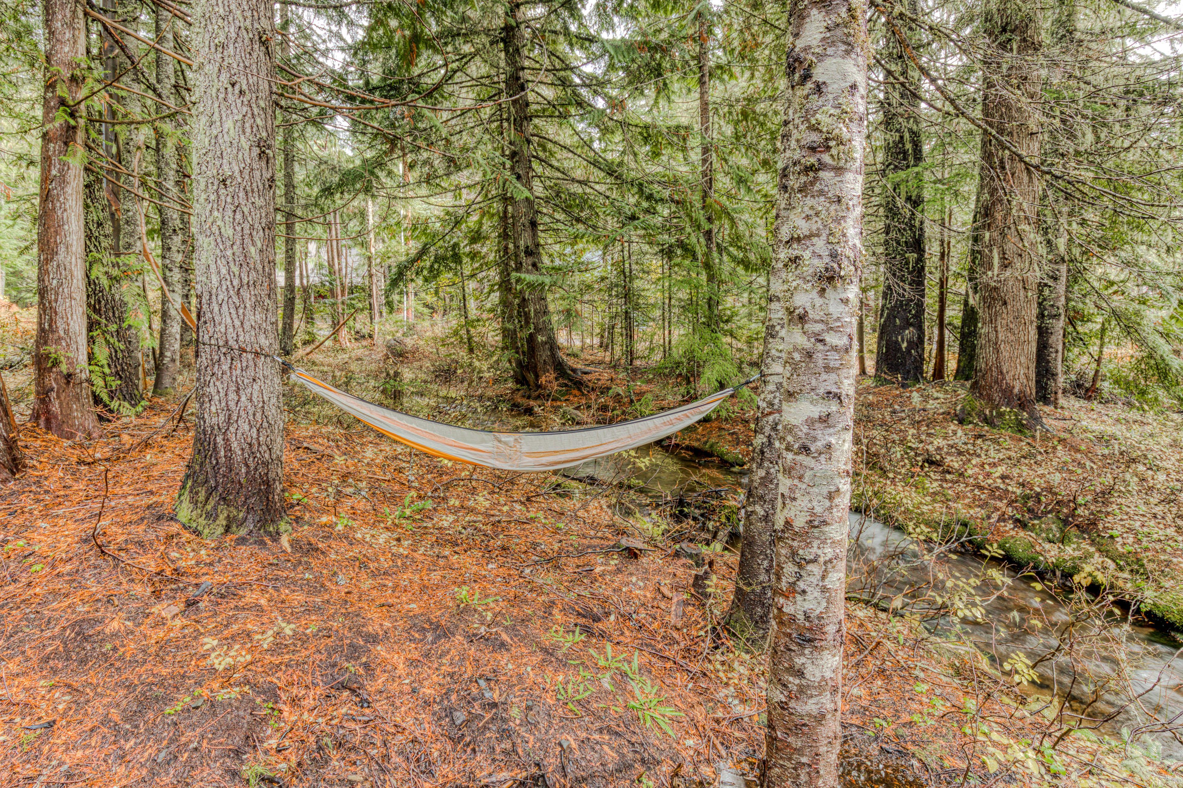 Baernhaus | Photo 41