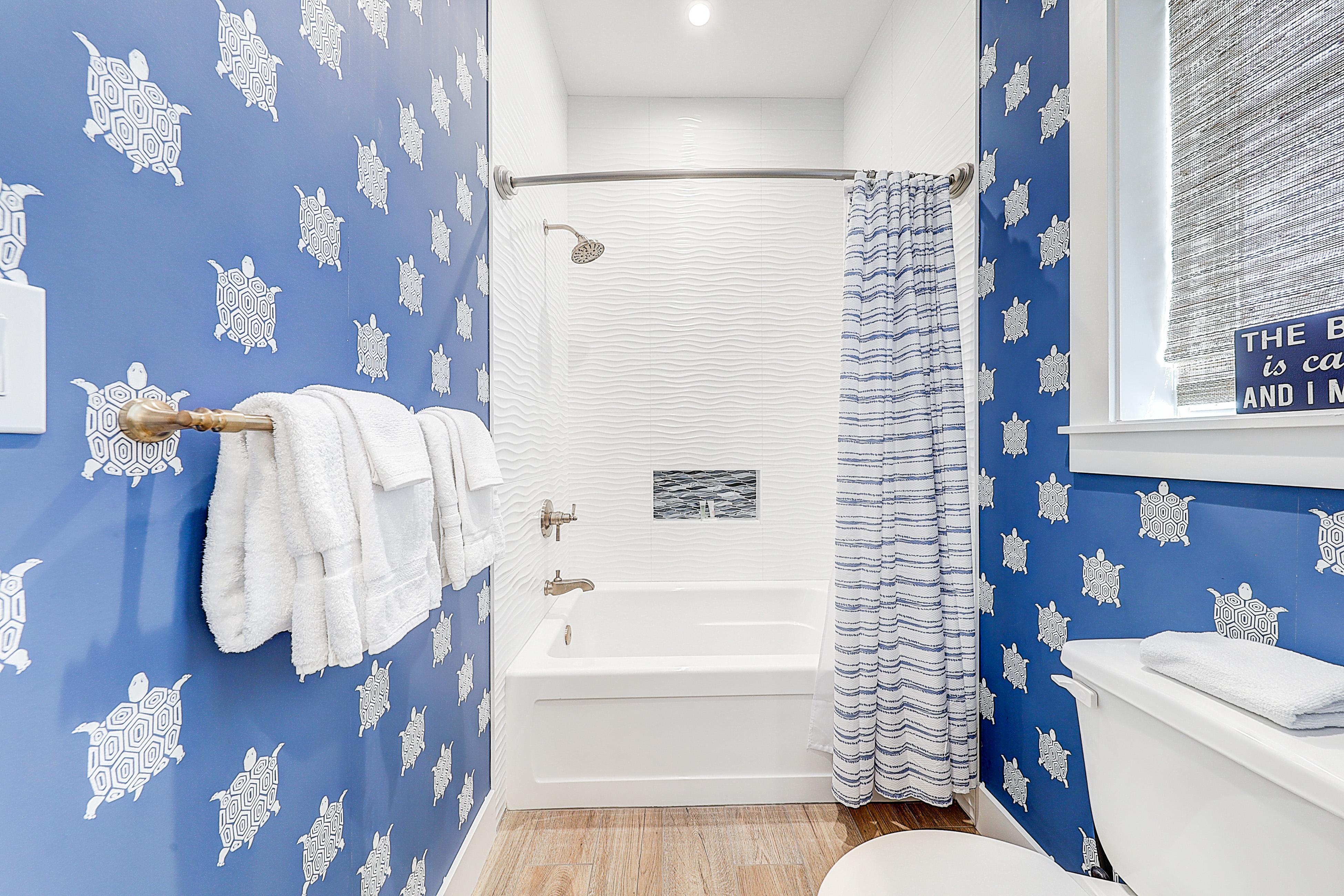 Turtle Ransas at Palmilla Beach | Photo 45