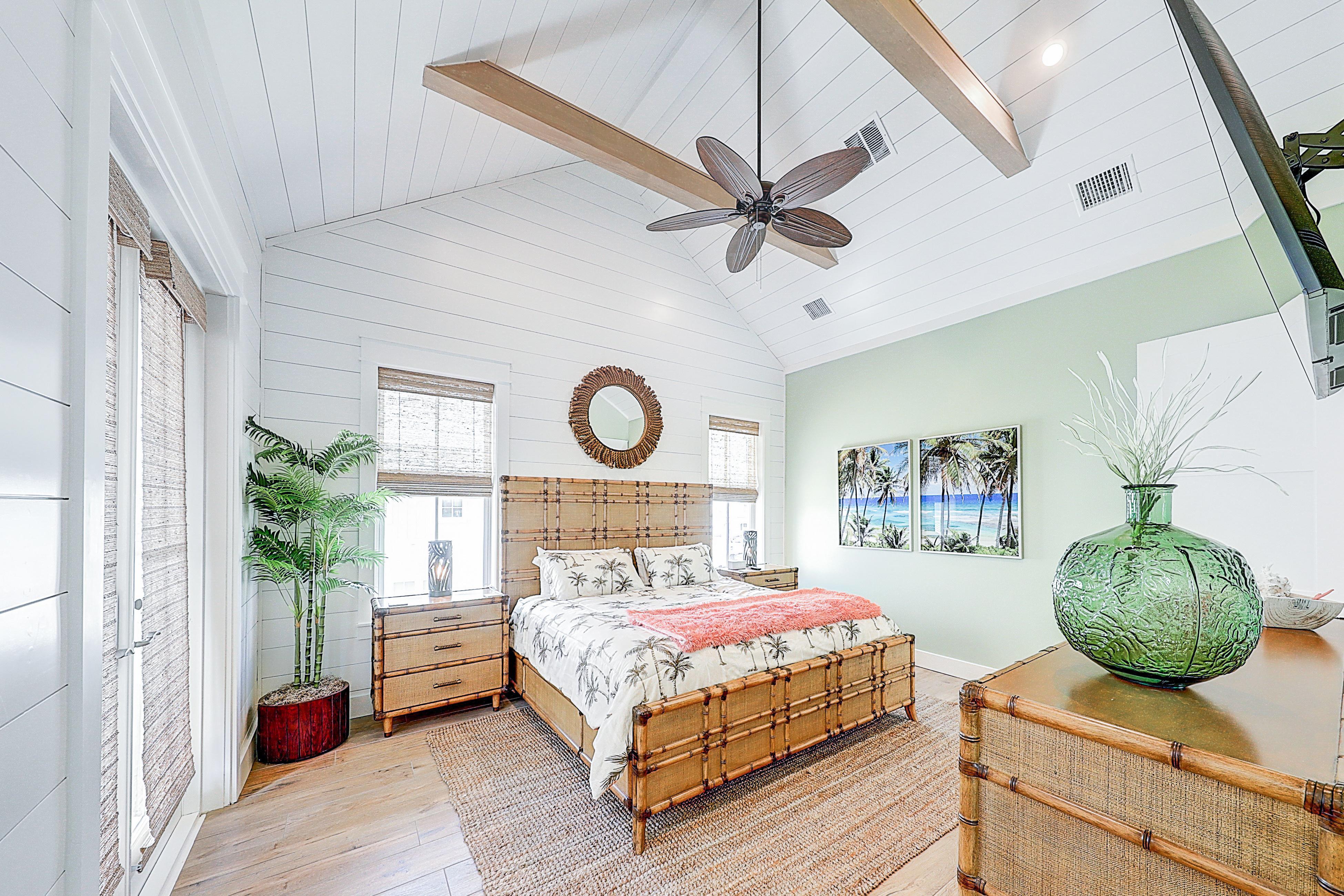 Turtle Ransas at Palmilla Beach | Photo 4