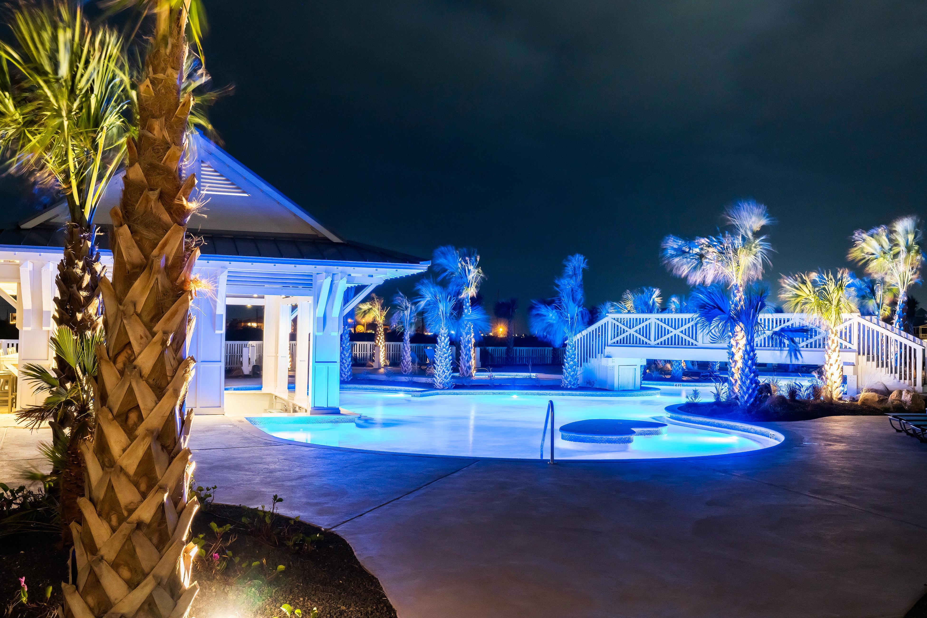 Turtle Ransas at Palmilla Beach | Photo 35