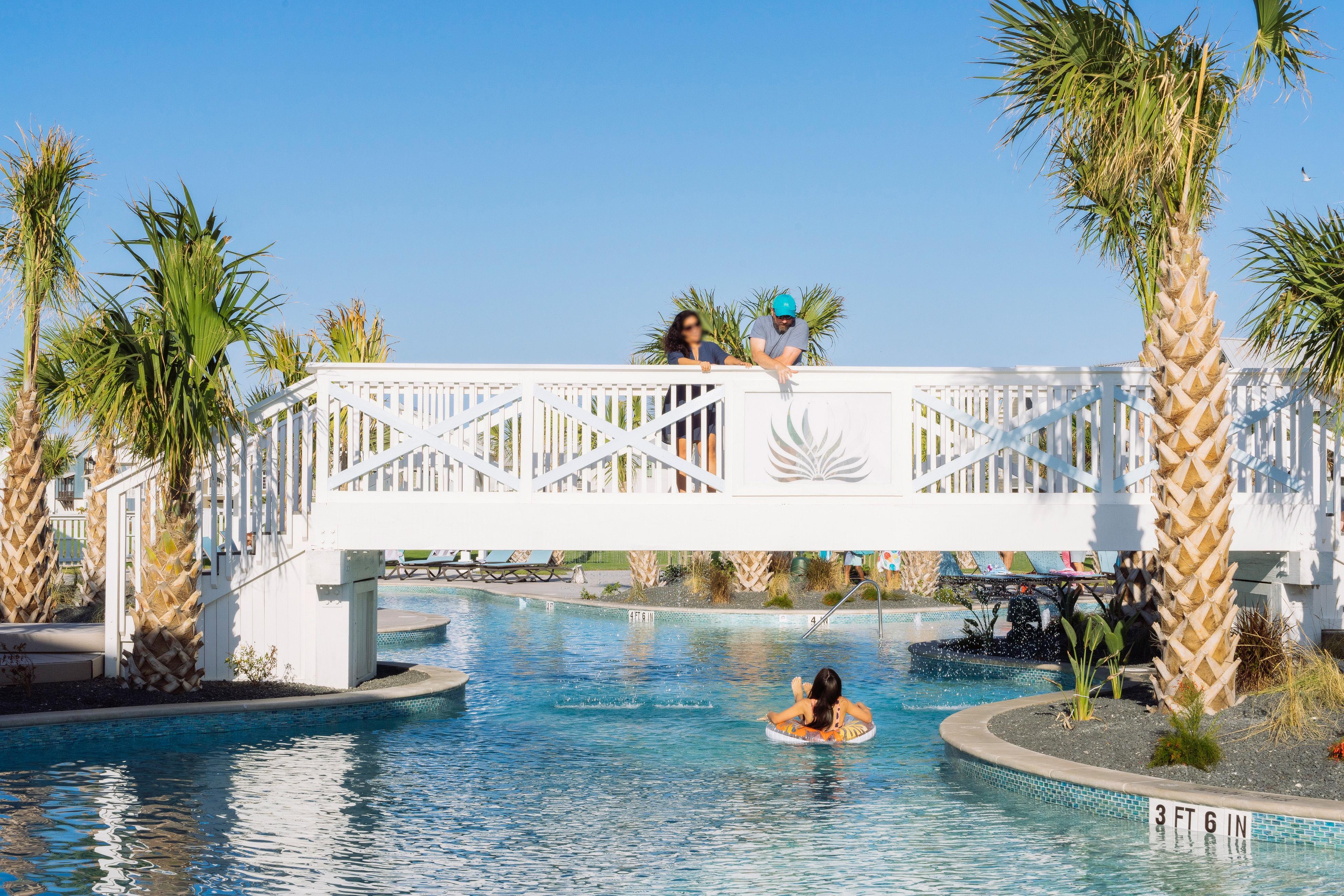 Turtle Ransas at Palmilla Beach | Photo 37