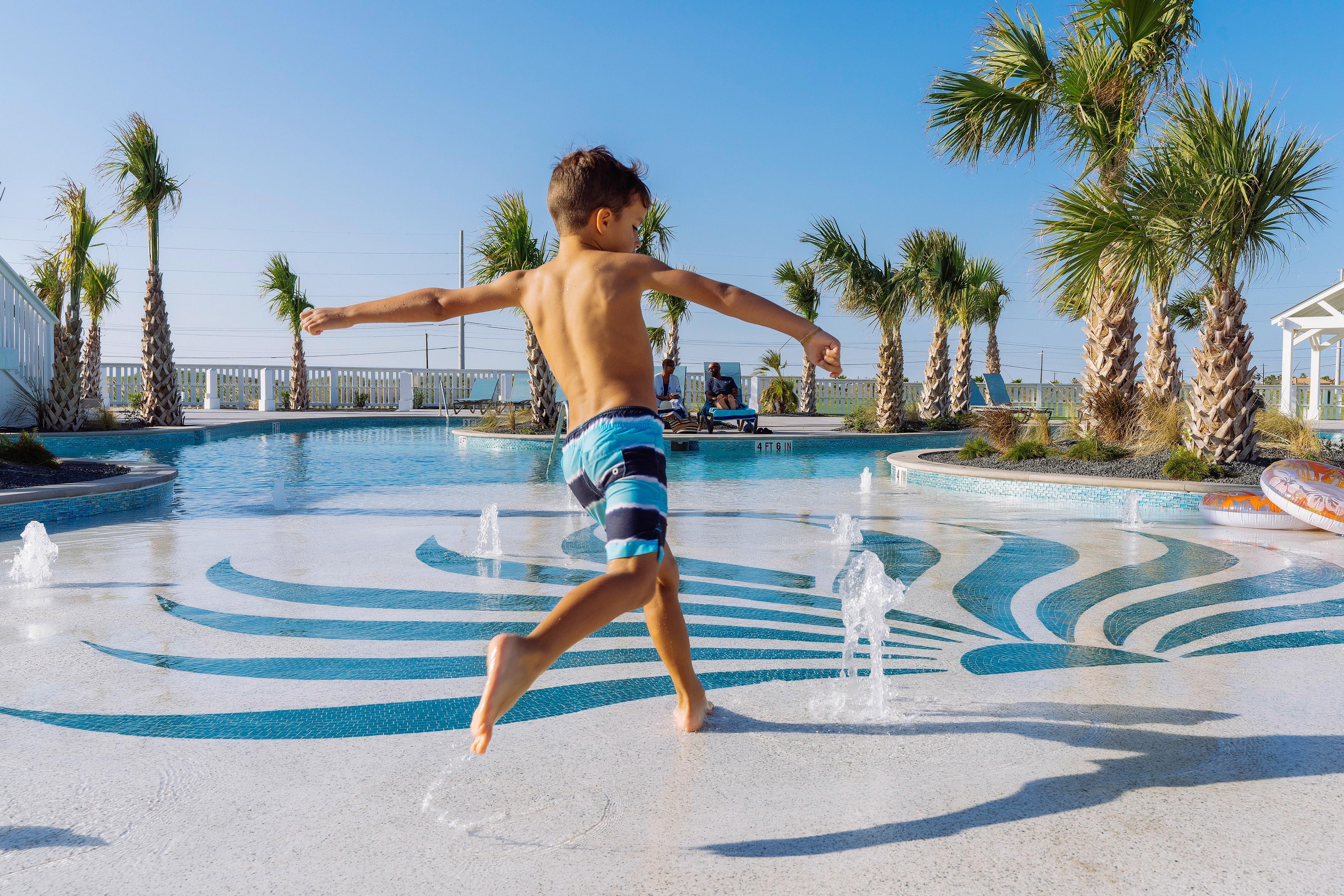 Turtle Ransas at Palmilla Beach | Photo 36