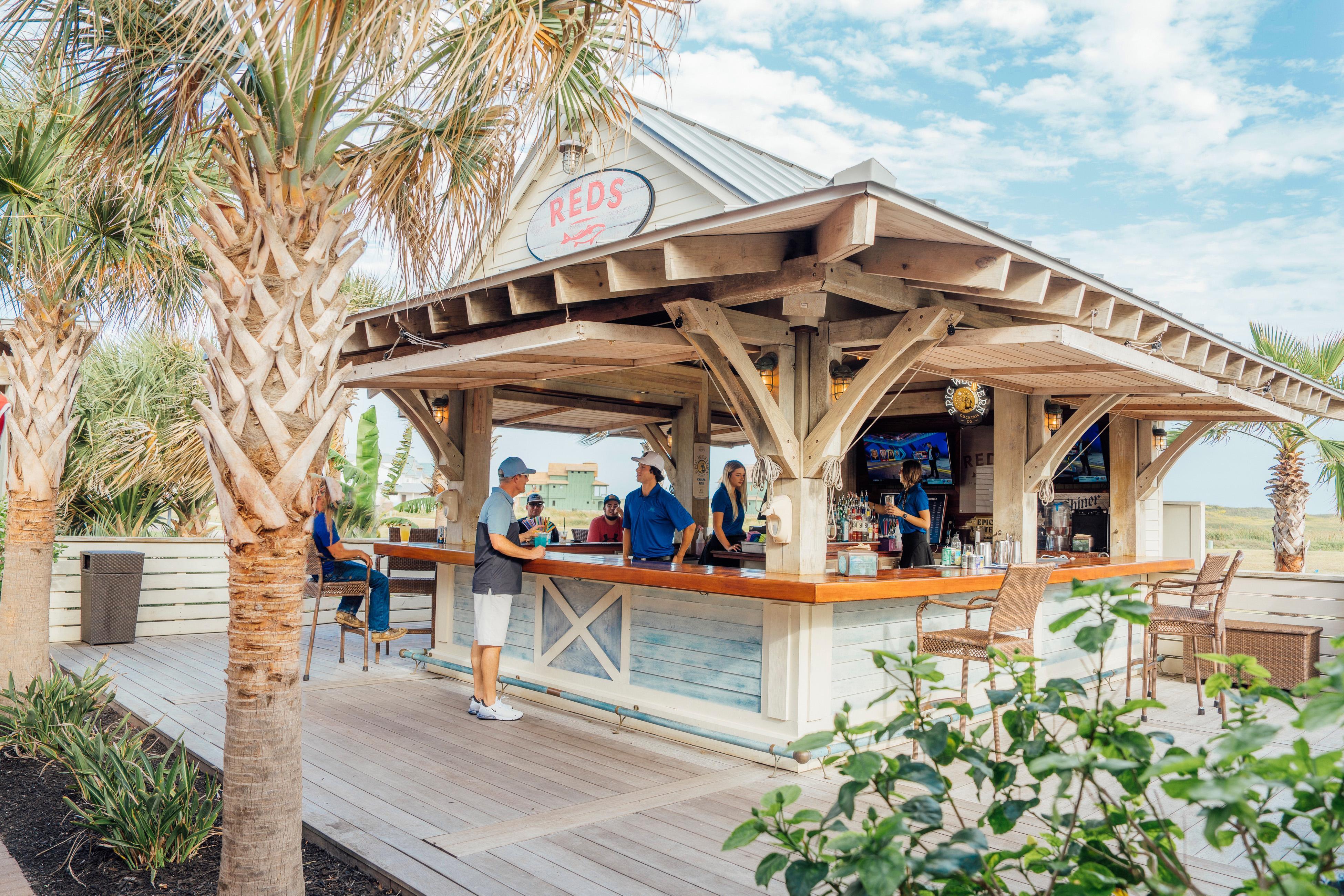 Turtle Ransas at Palmilla Beach | Photo 39