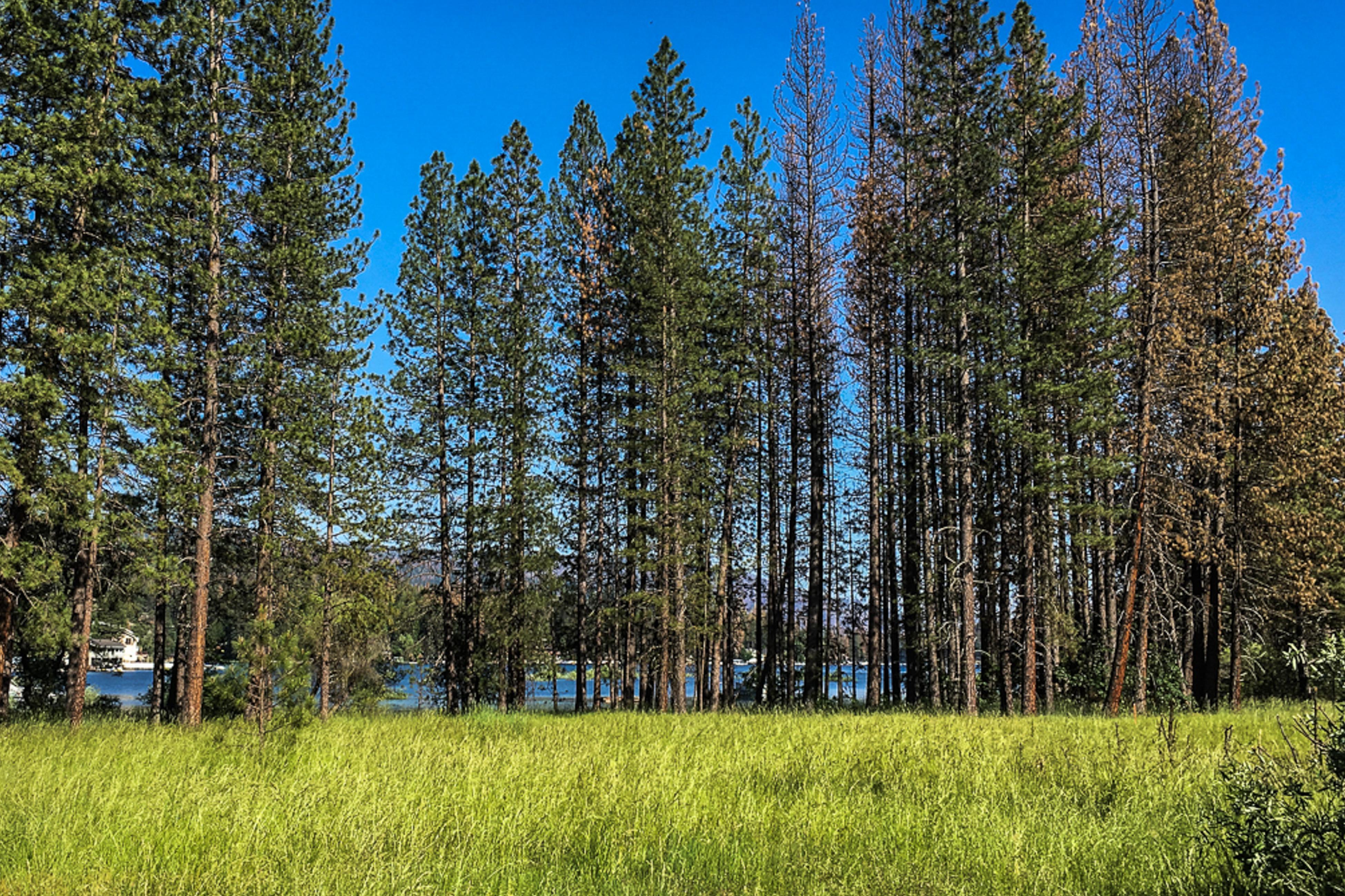 Willard Lake House | Photo 3