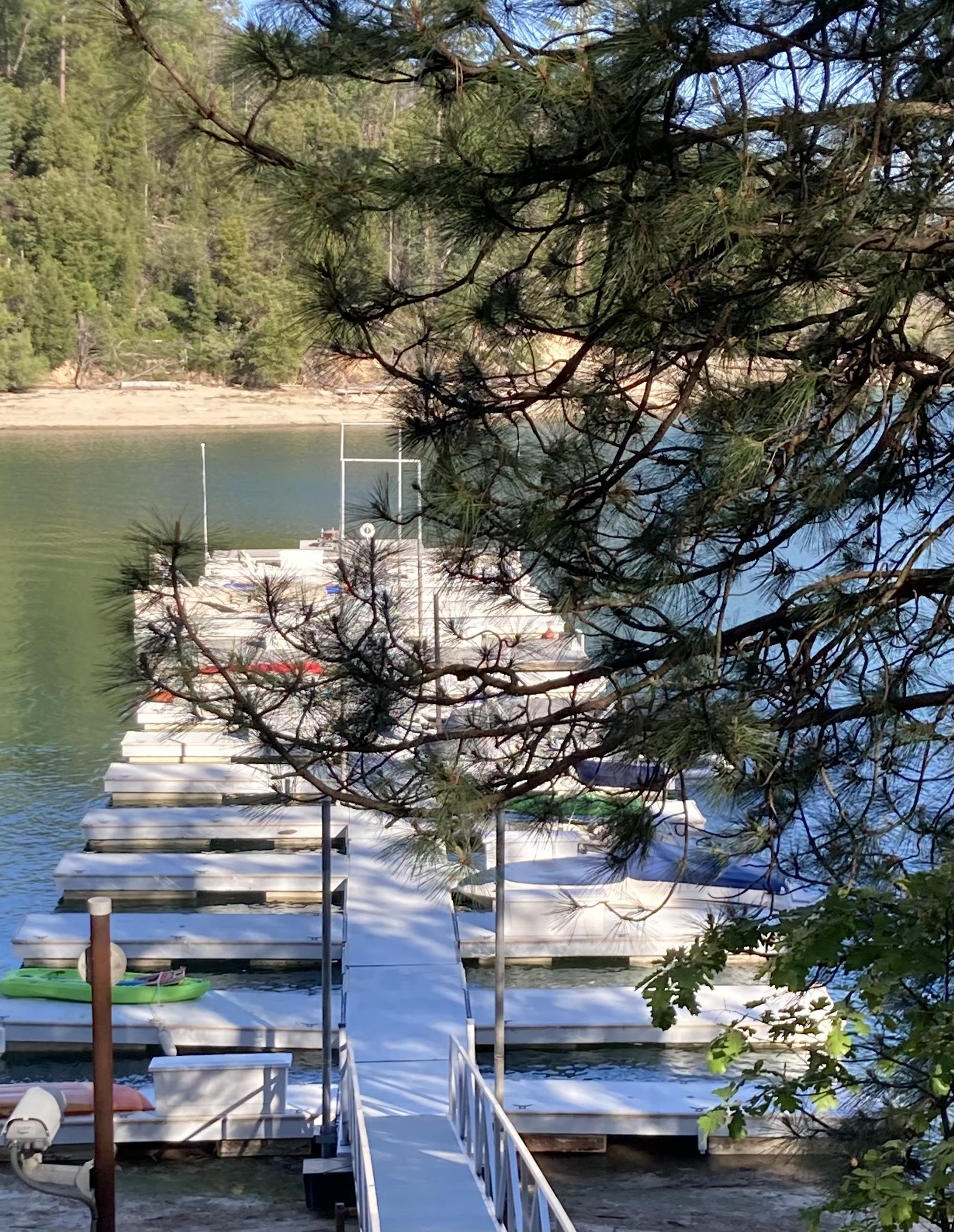 Holiday Pines Cabin W/boat Slip Bass Lake, CA | Photo 2