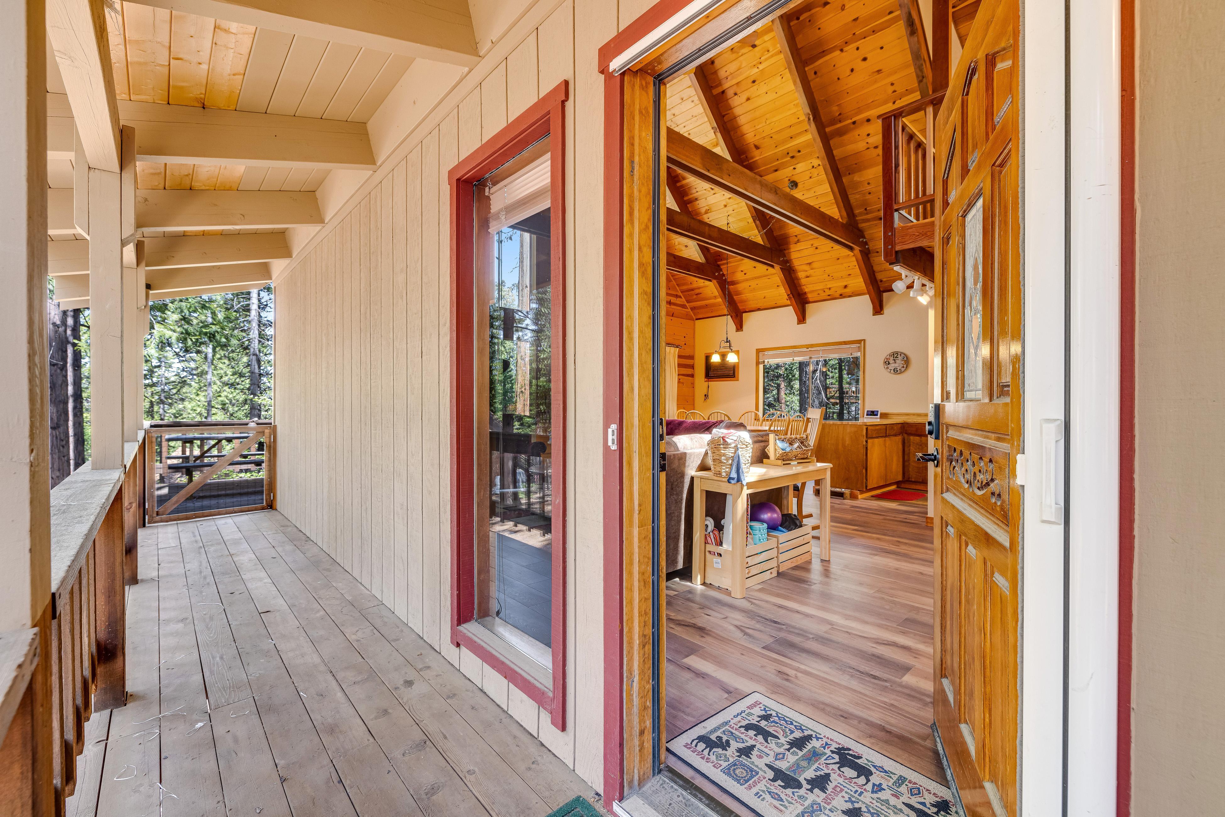 Tranquility in the Woods 5