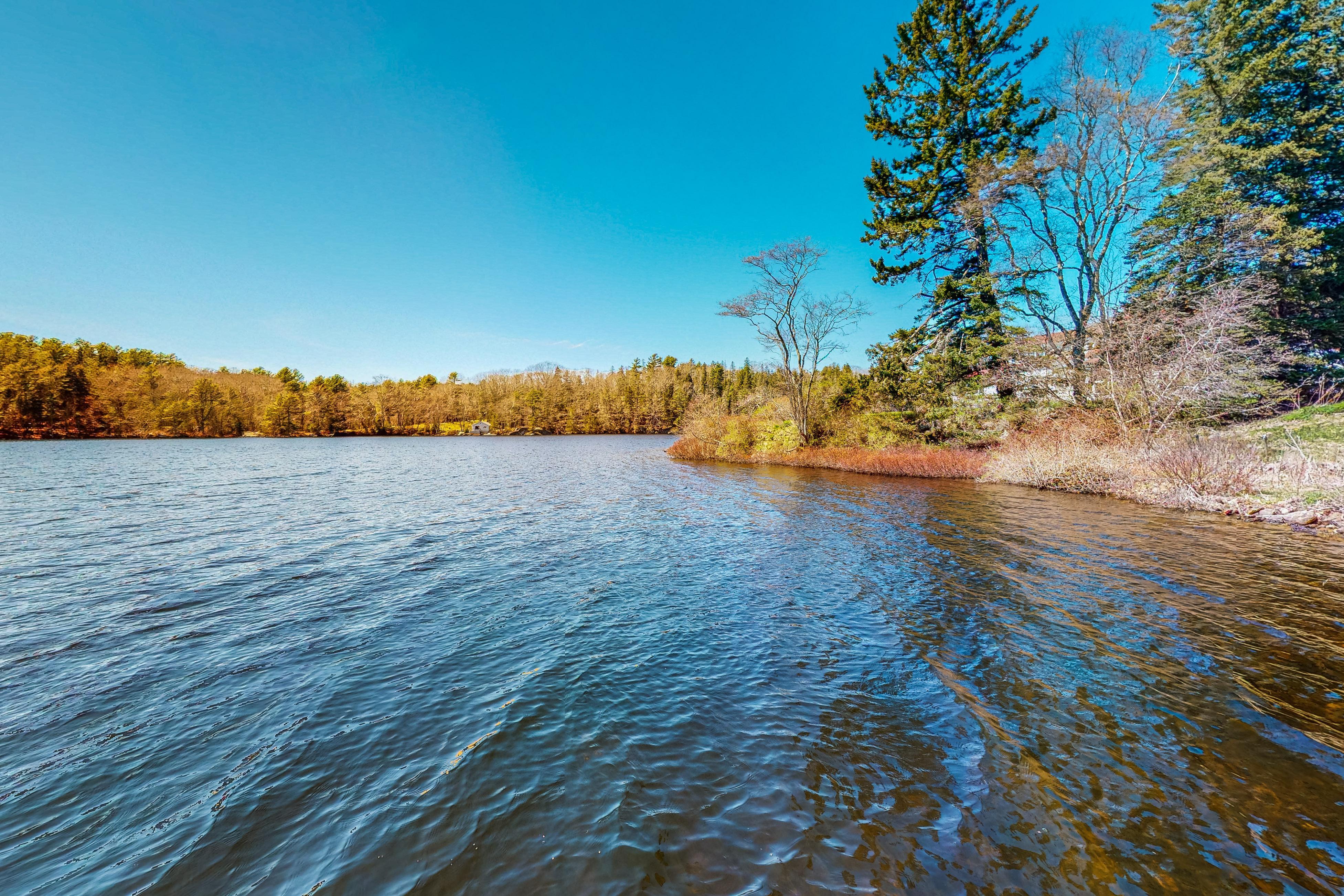 Blue Shutters Cottage 4