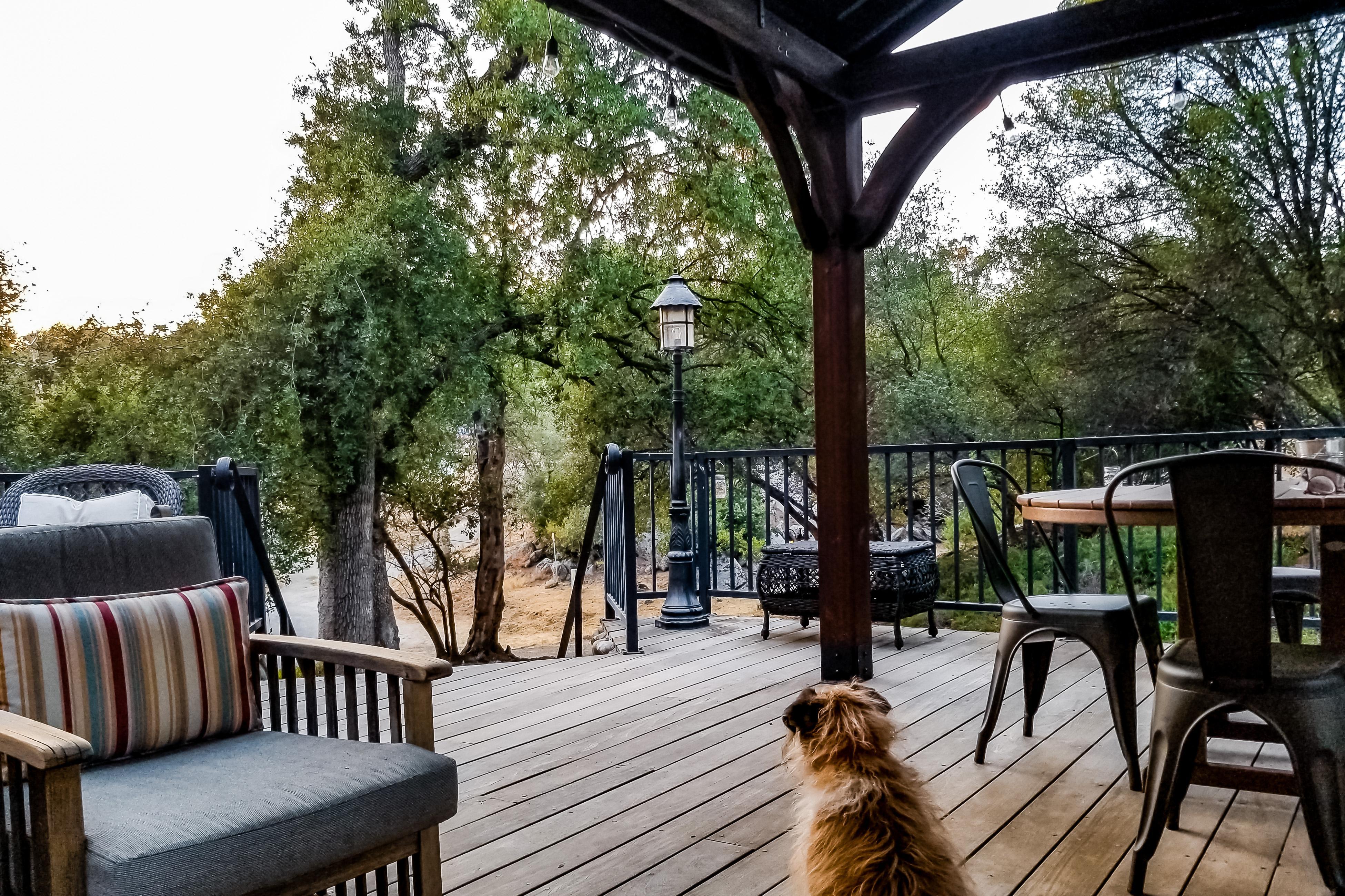 Out in the Wild | Photo 2