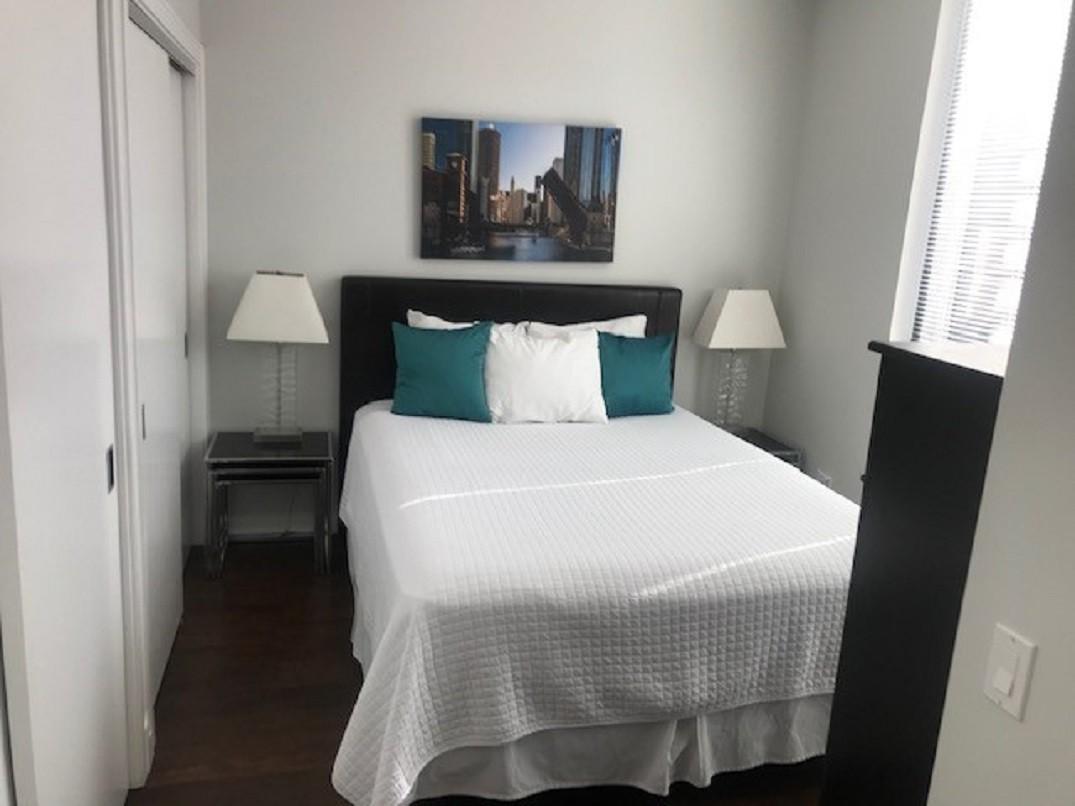 1BR/1BTH Luxury Apartment w Picturesque Views of Chicago | Photo 3