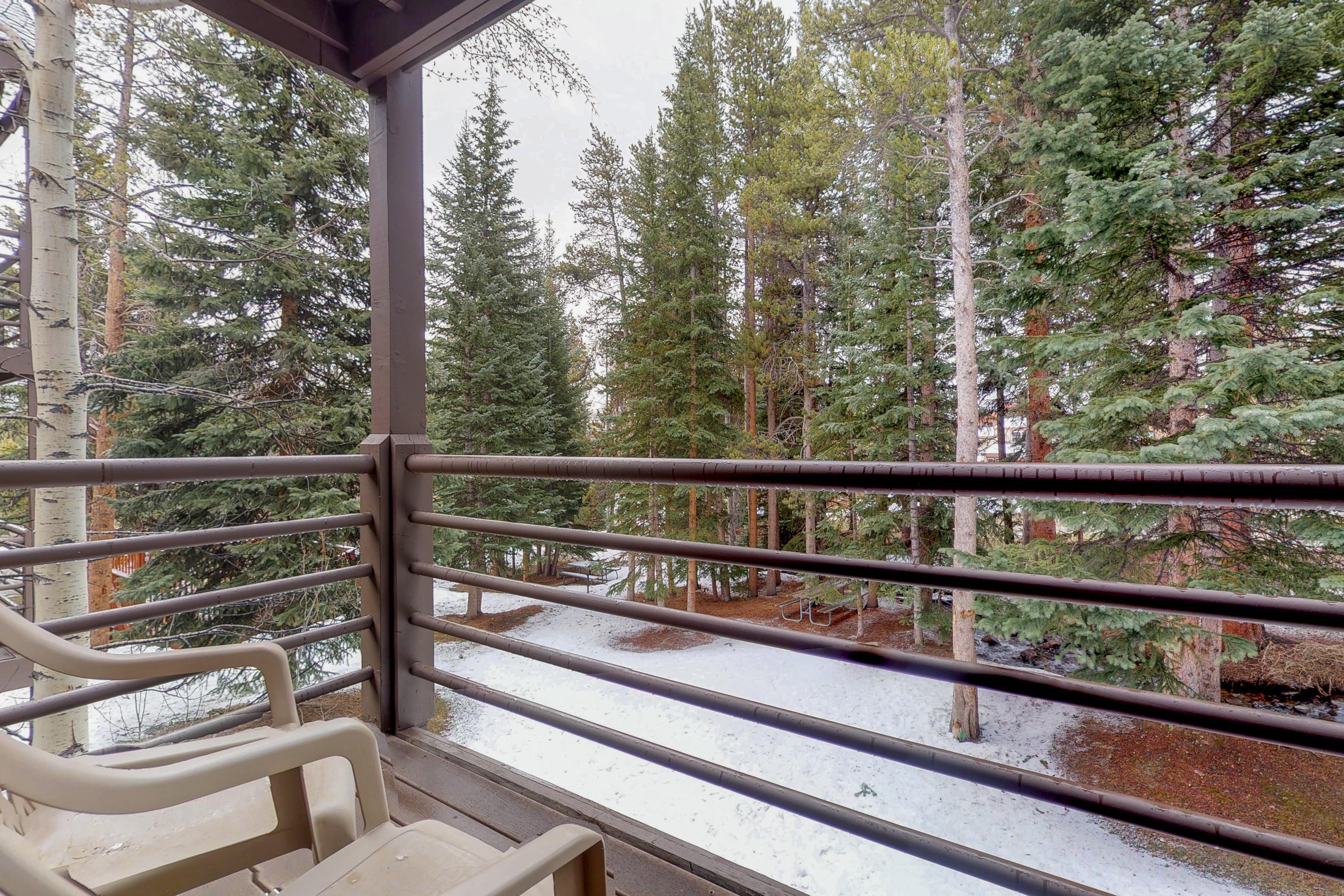 Autumn Foliage 209 | Photo 2