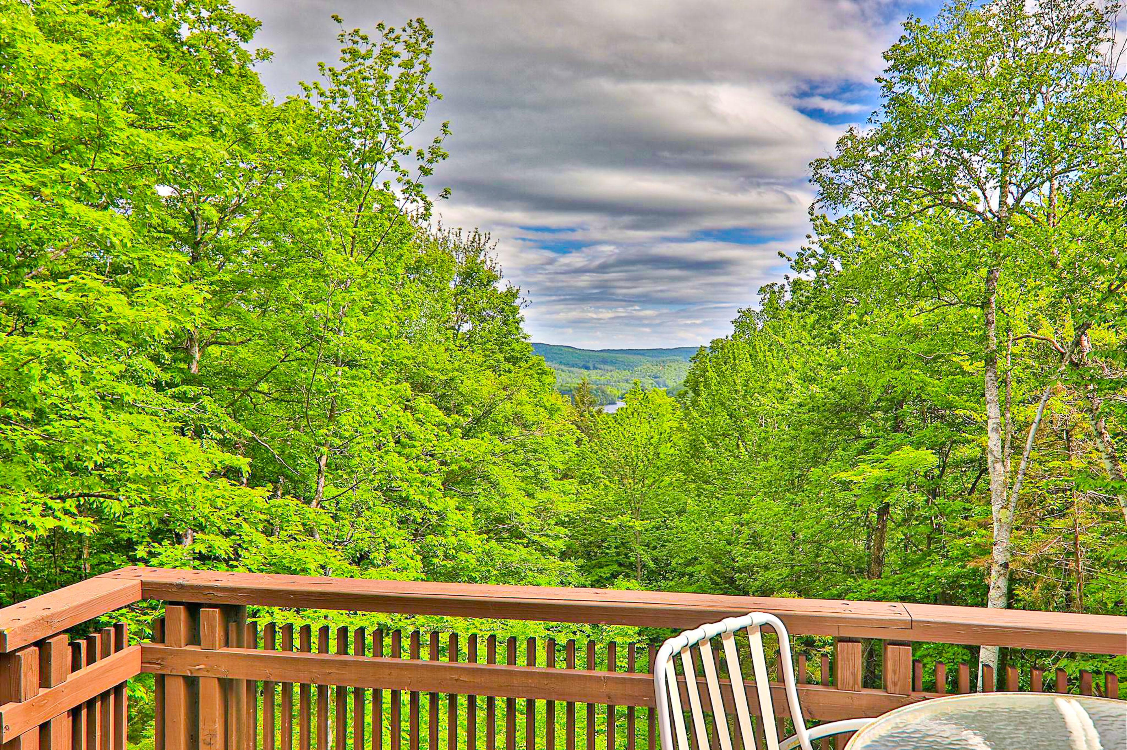 Salt Ash Sanctuary 5