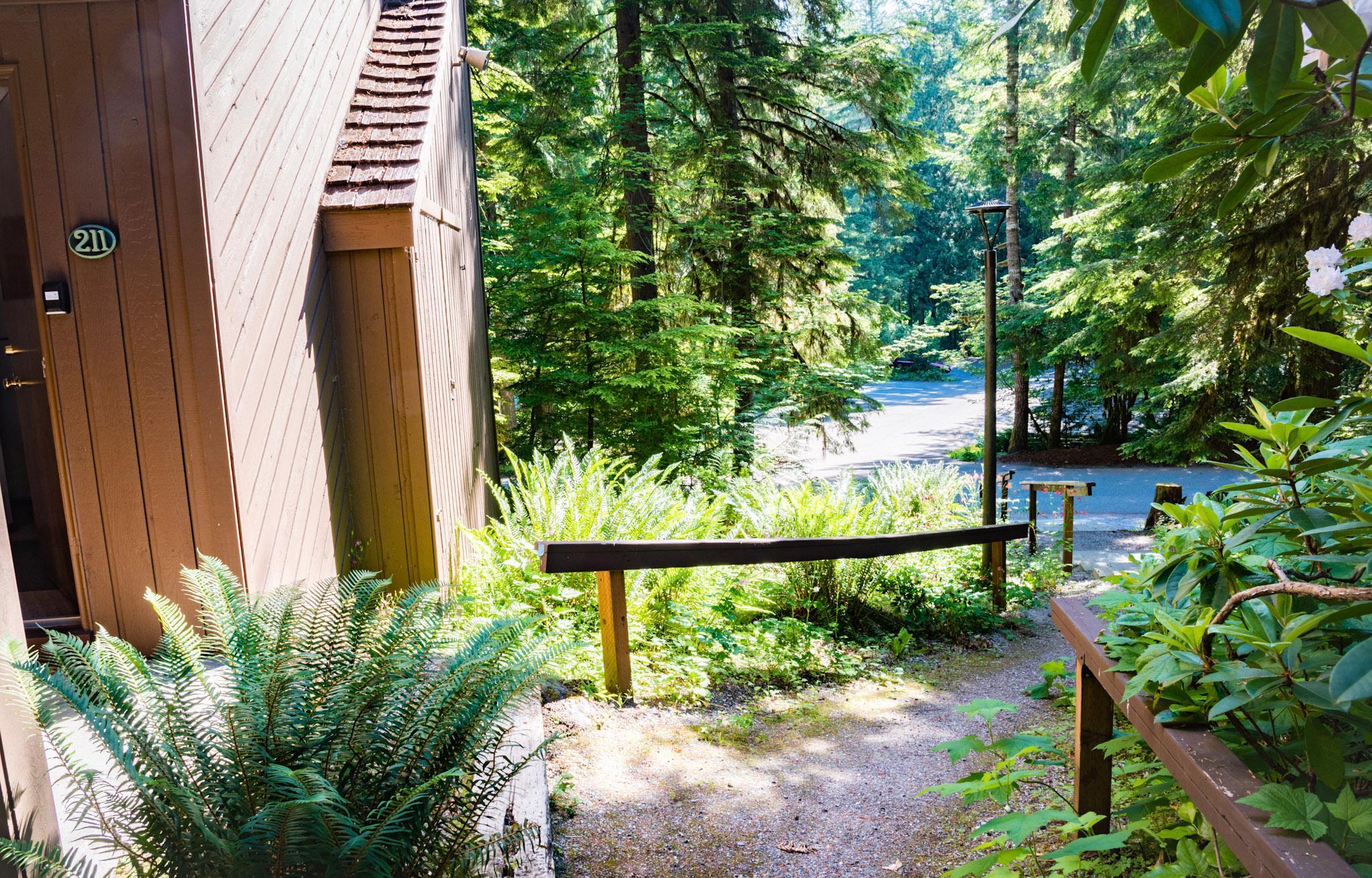 Cedar Suite at Snowater 6