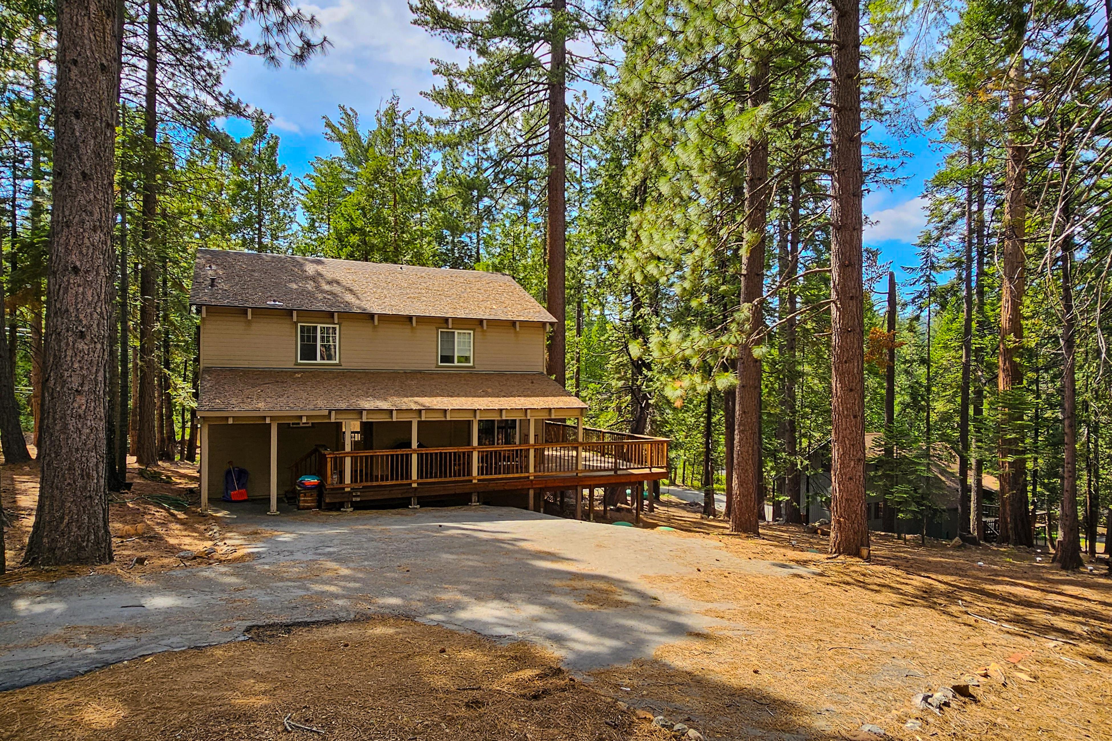 Bigfoot Cabin