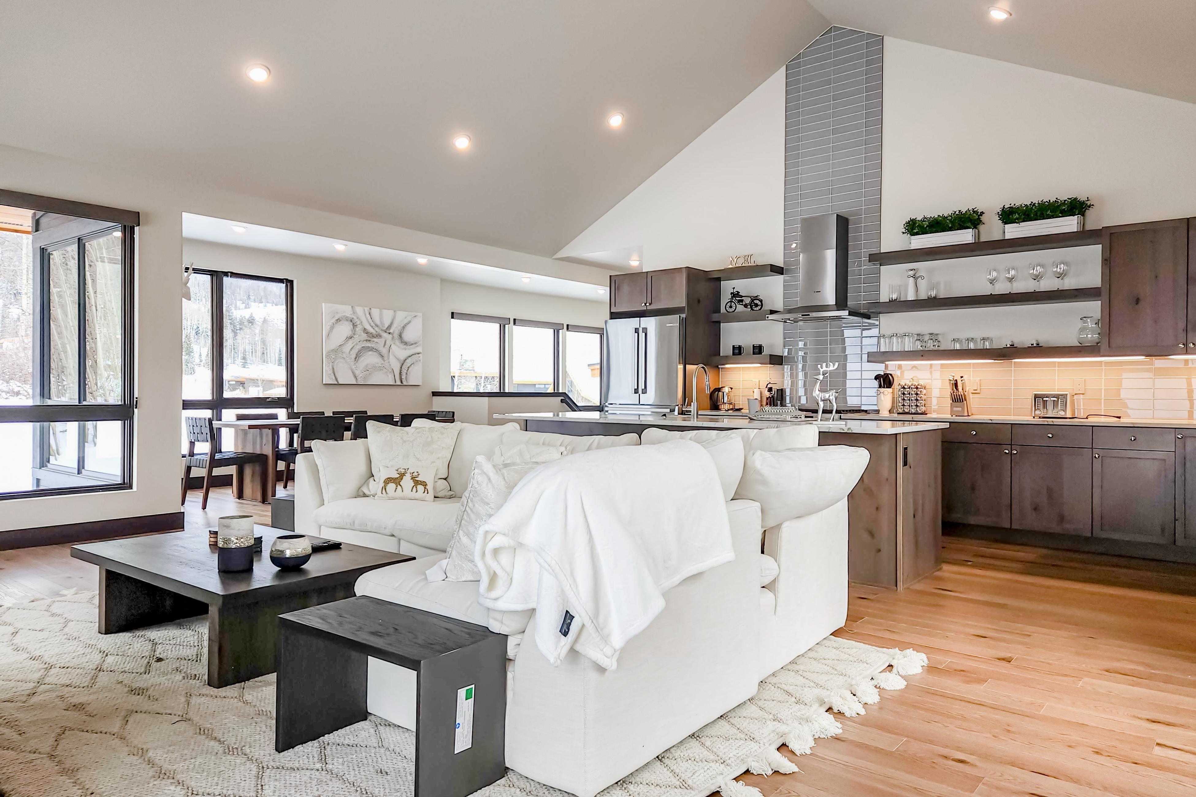 A Slice of Silverthorne