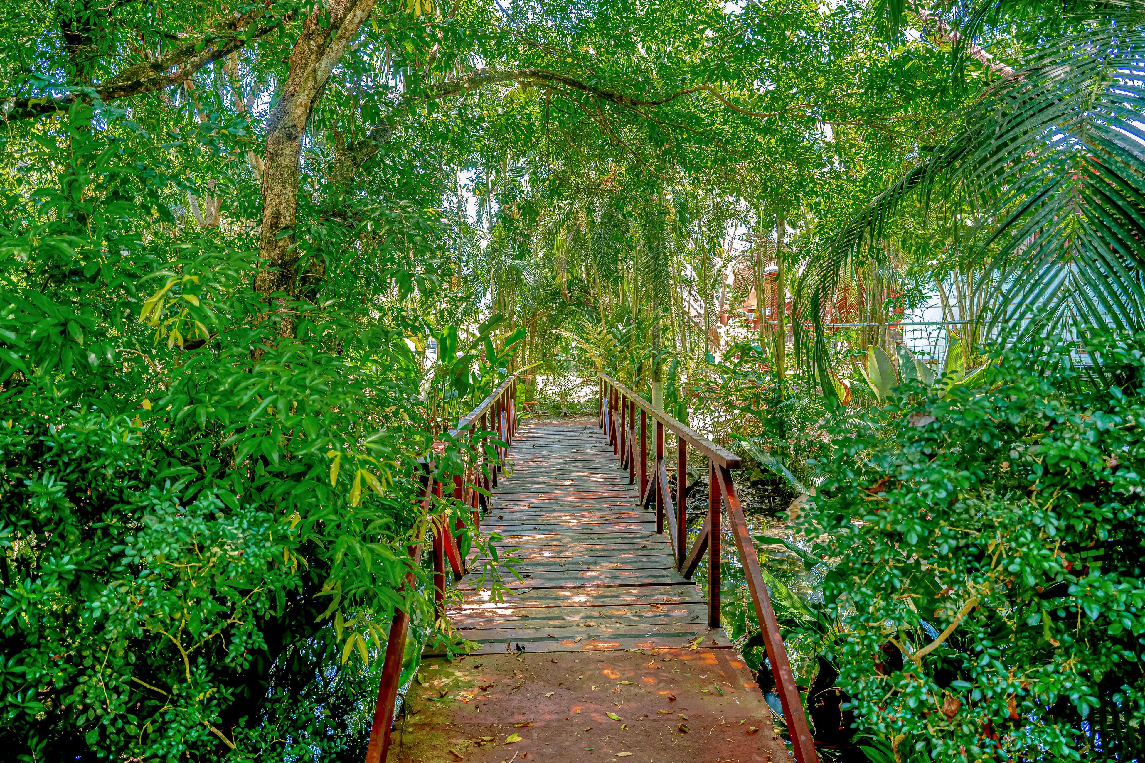 Macaw Oceans Club #20 4