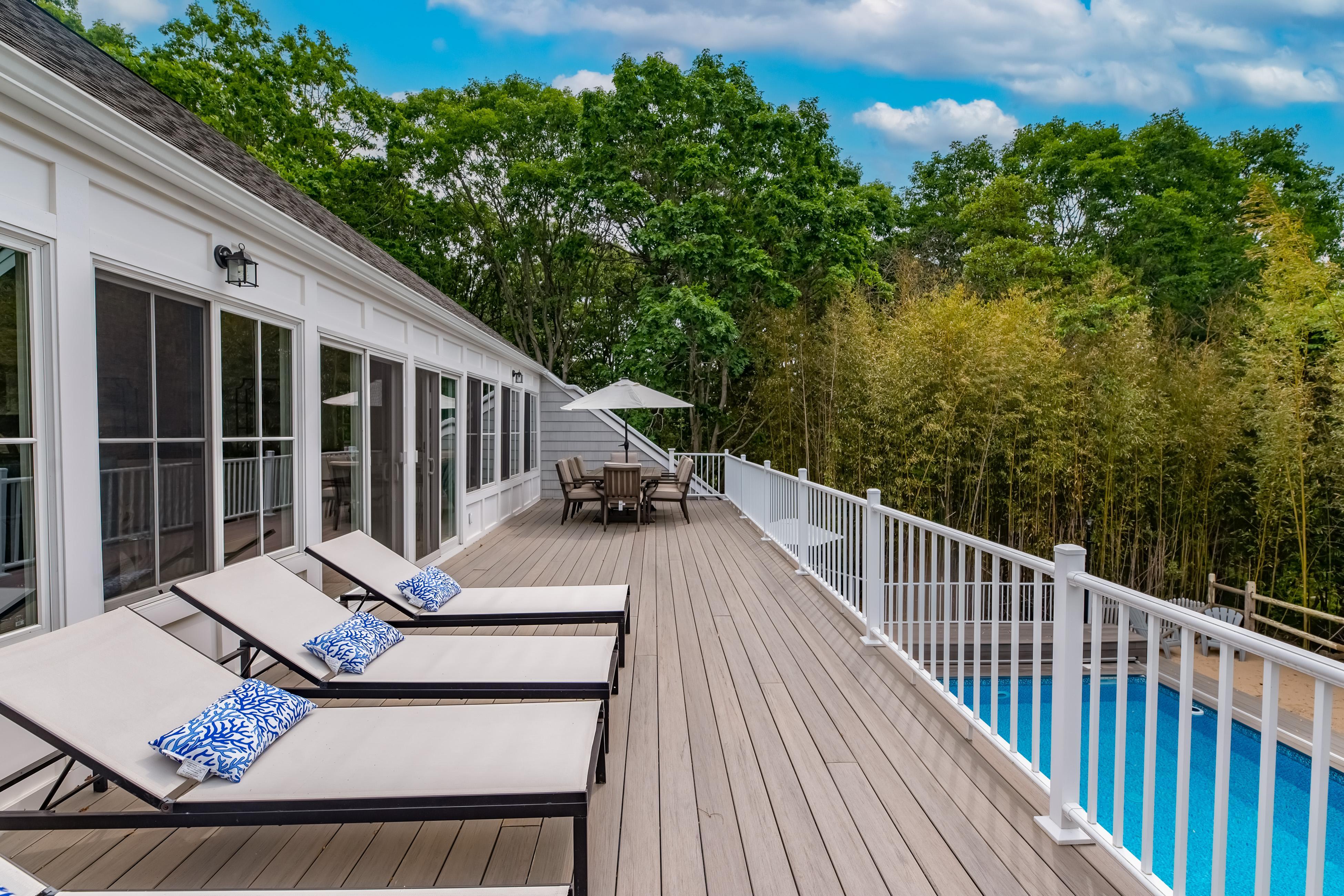 Southampton Beauty 6