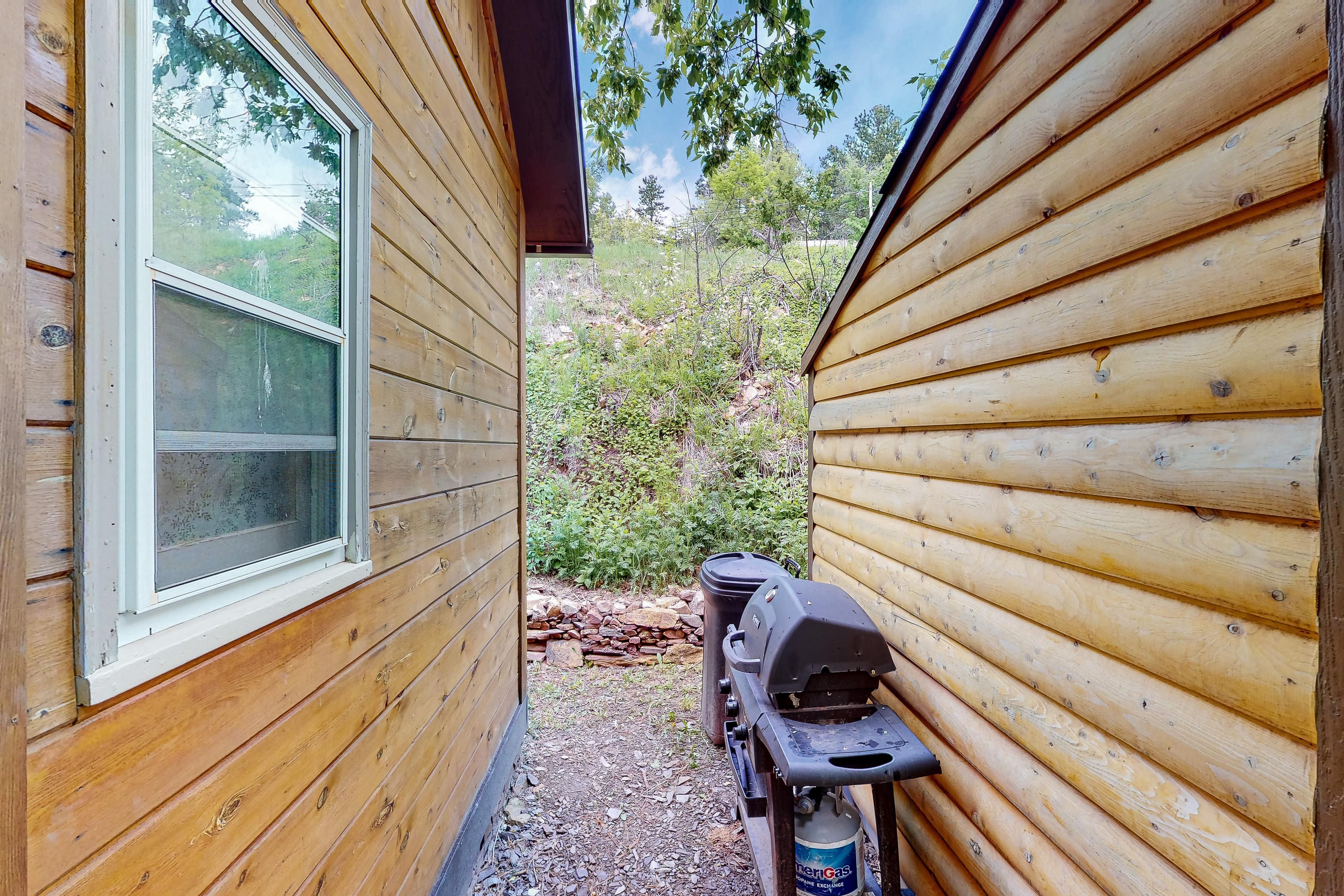 Mountain View Escape 4