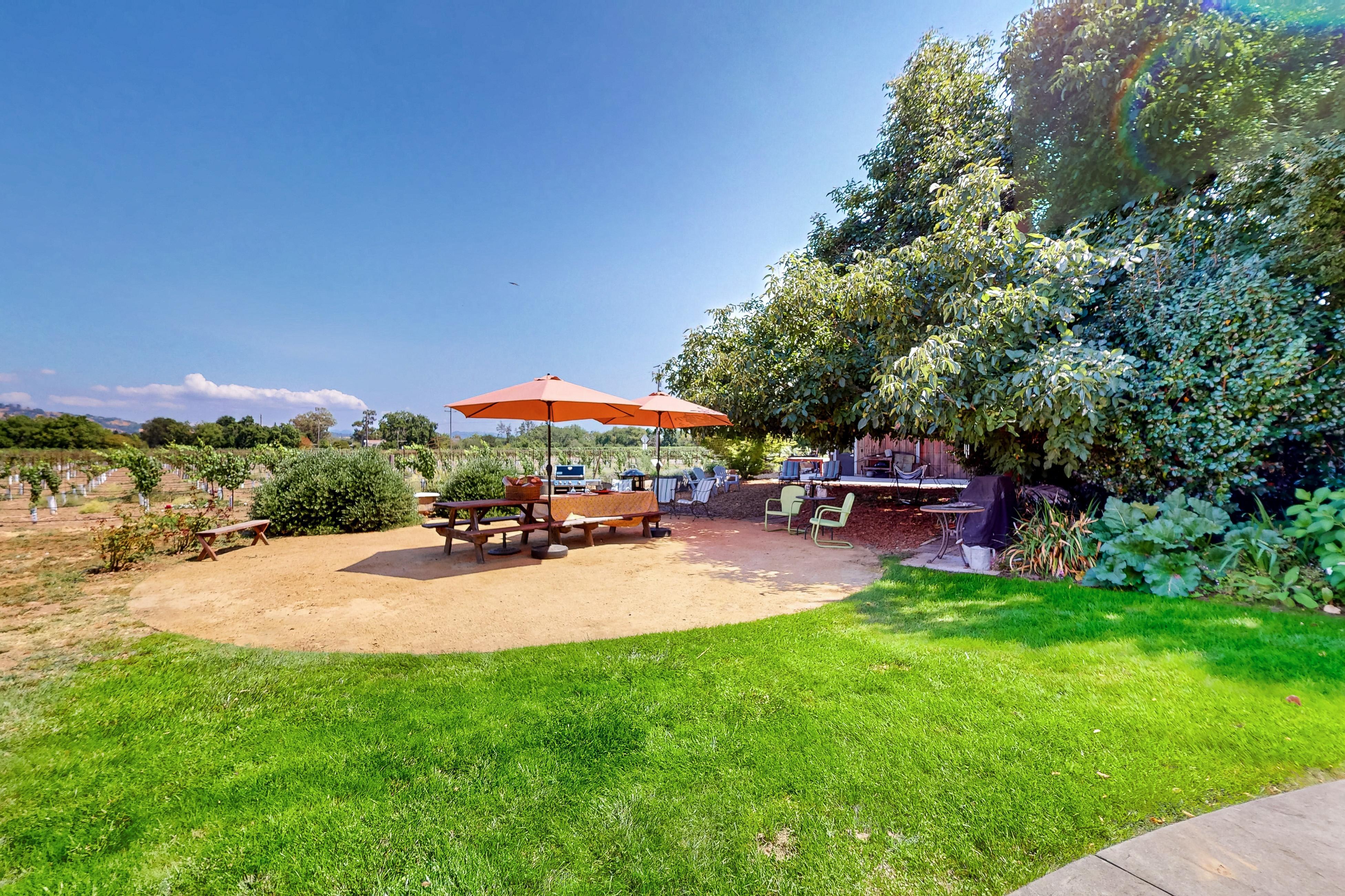 Magnolia Ranch Vineyards | Photo 3
