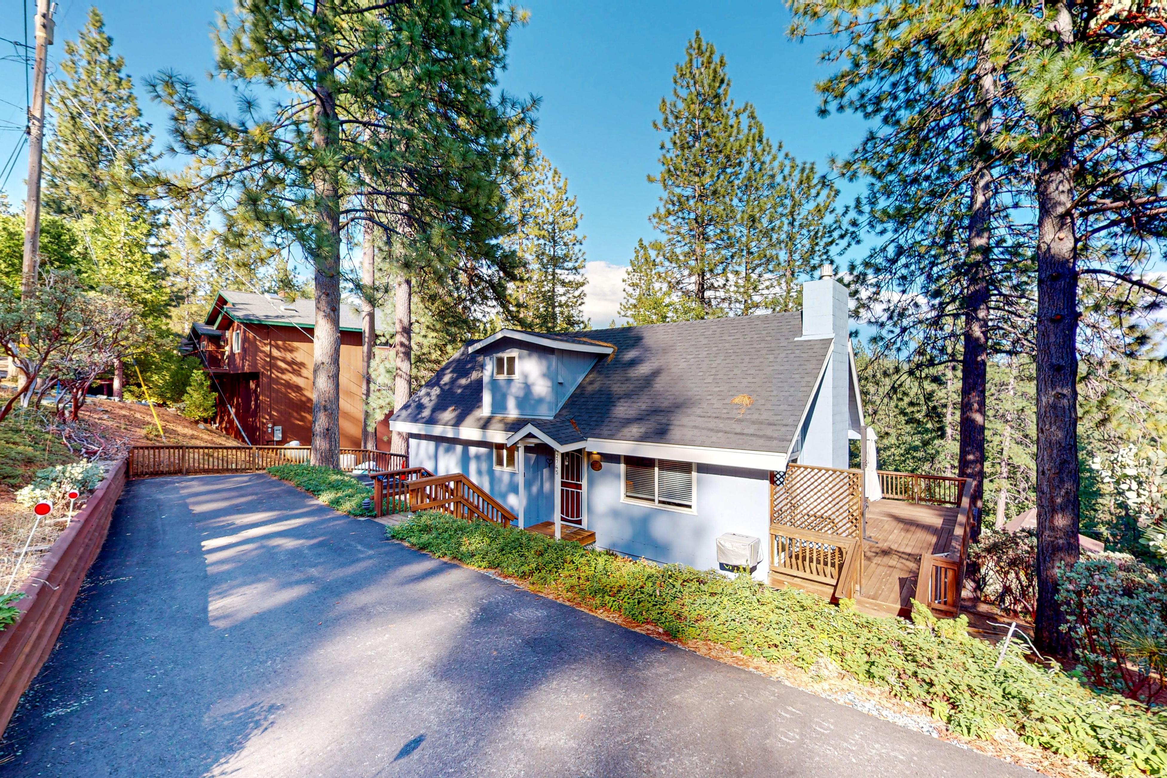 Doris in the Forest 4