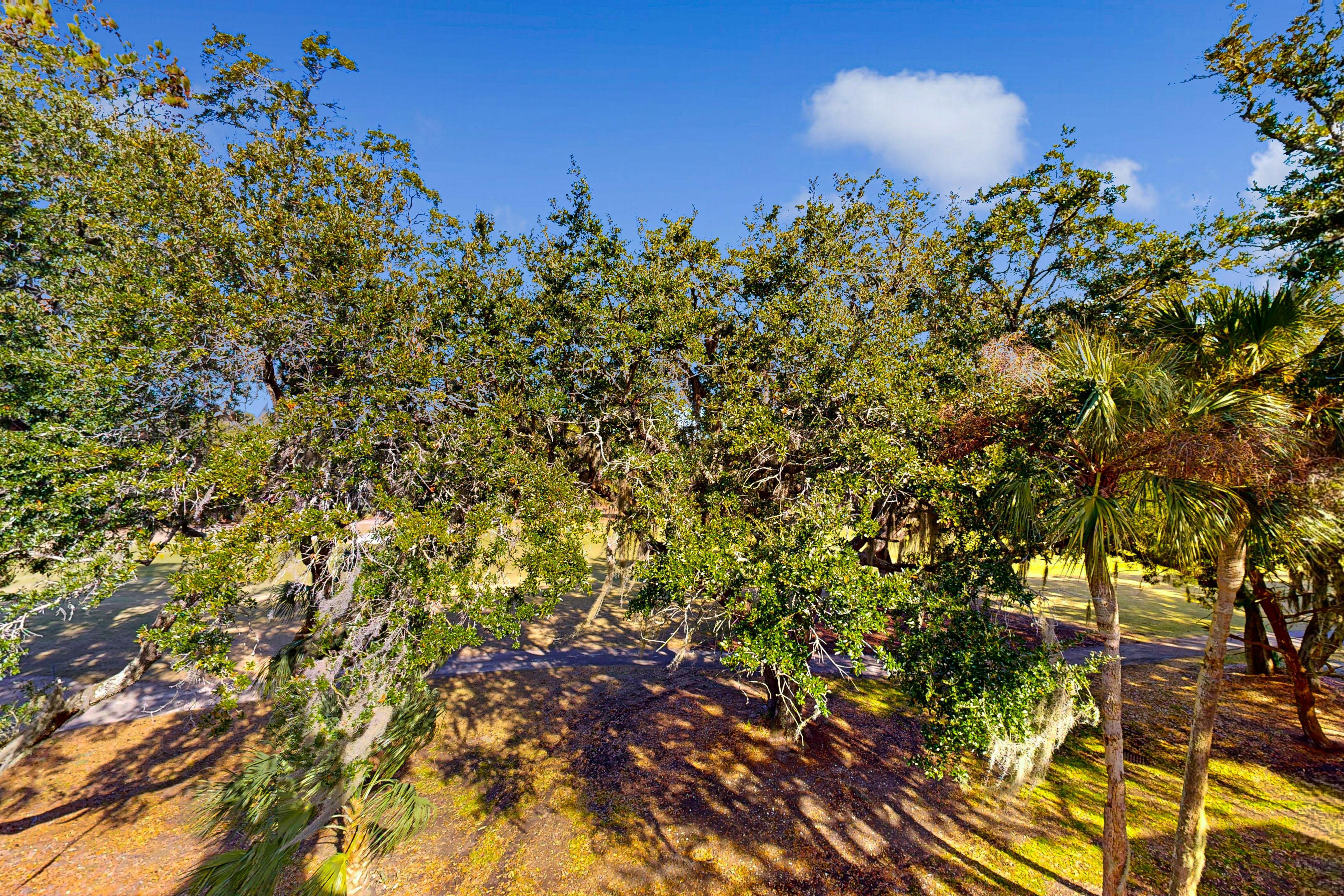 Driftwood Villa 267 6