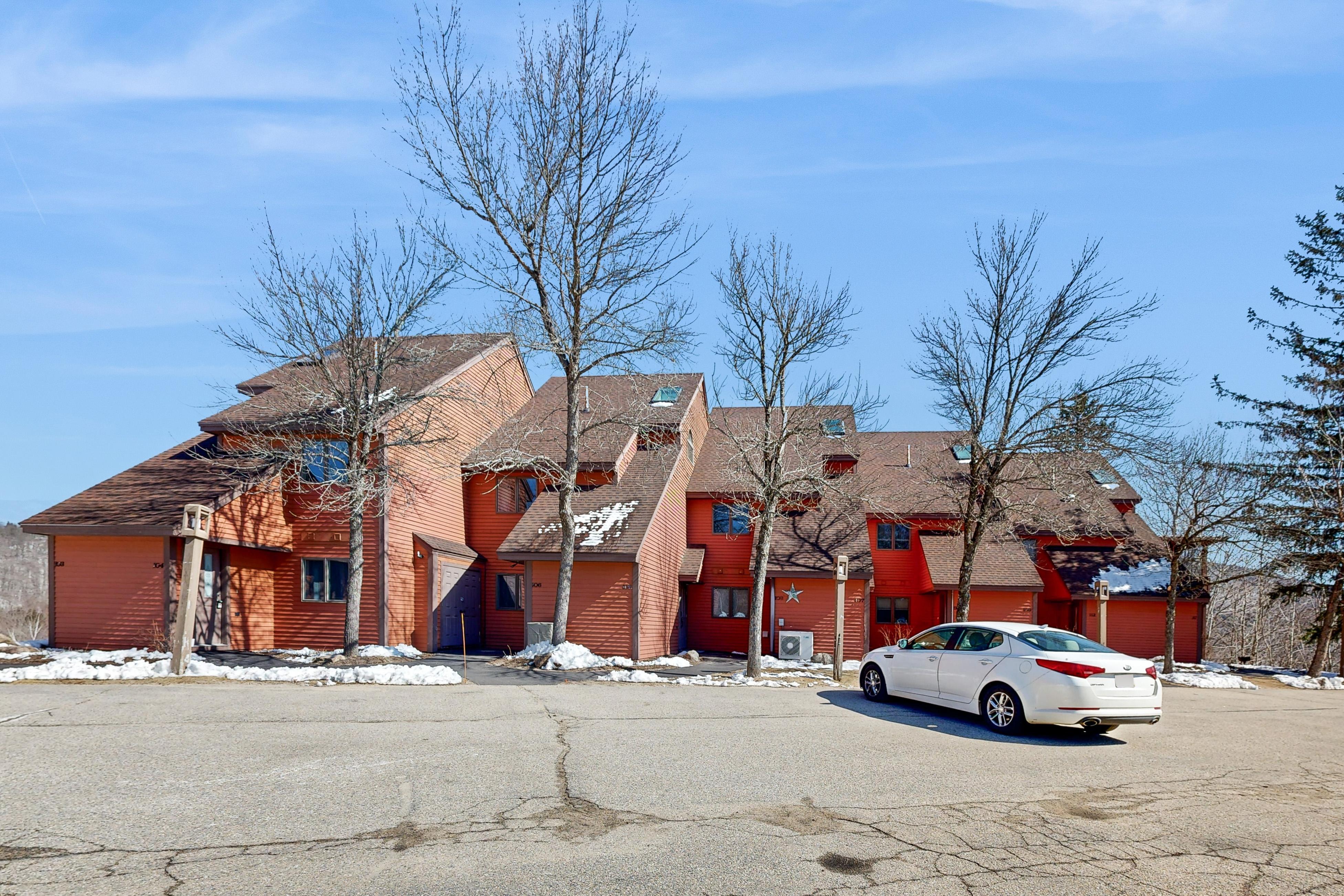 White Birch at Nordic Village 2