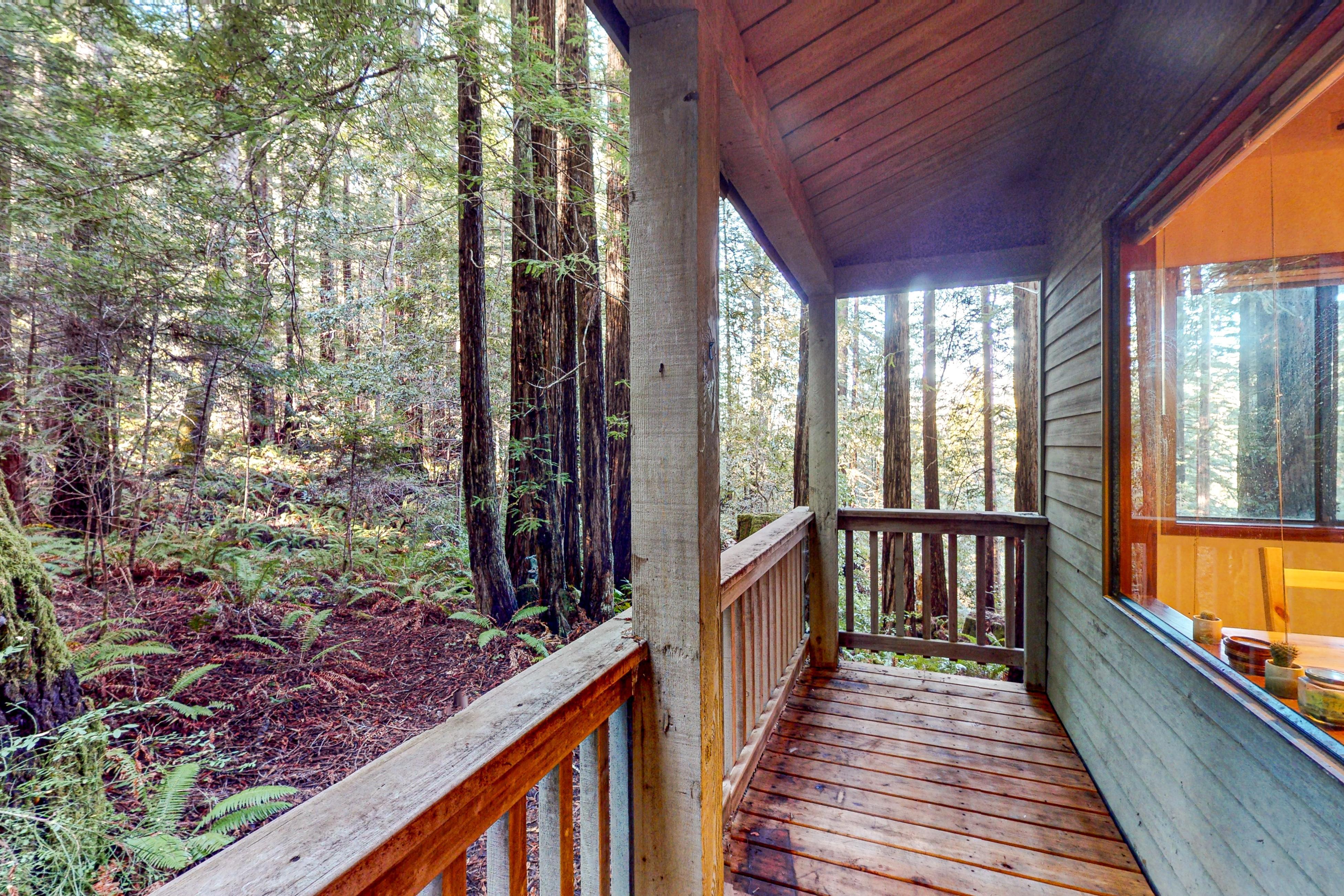 Deep Woods Hideaway 3