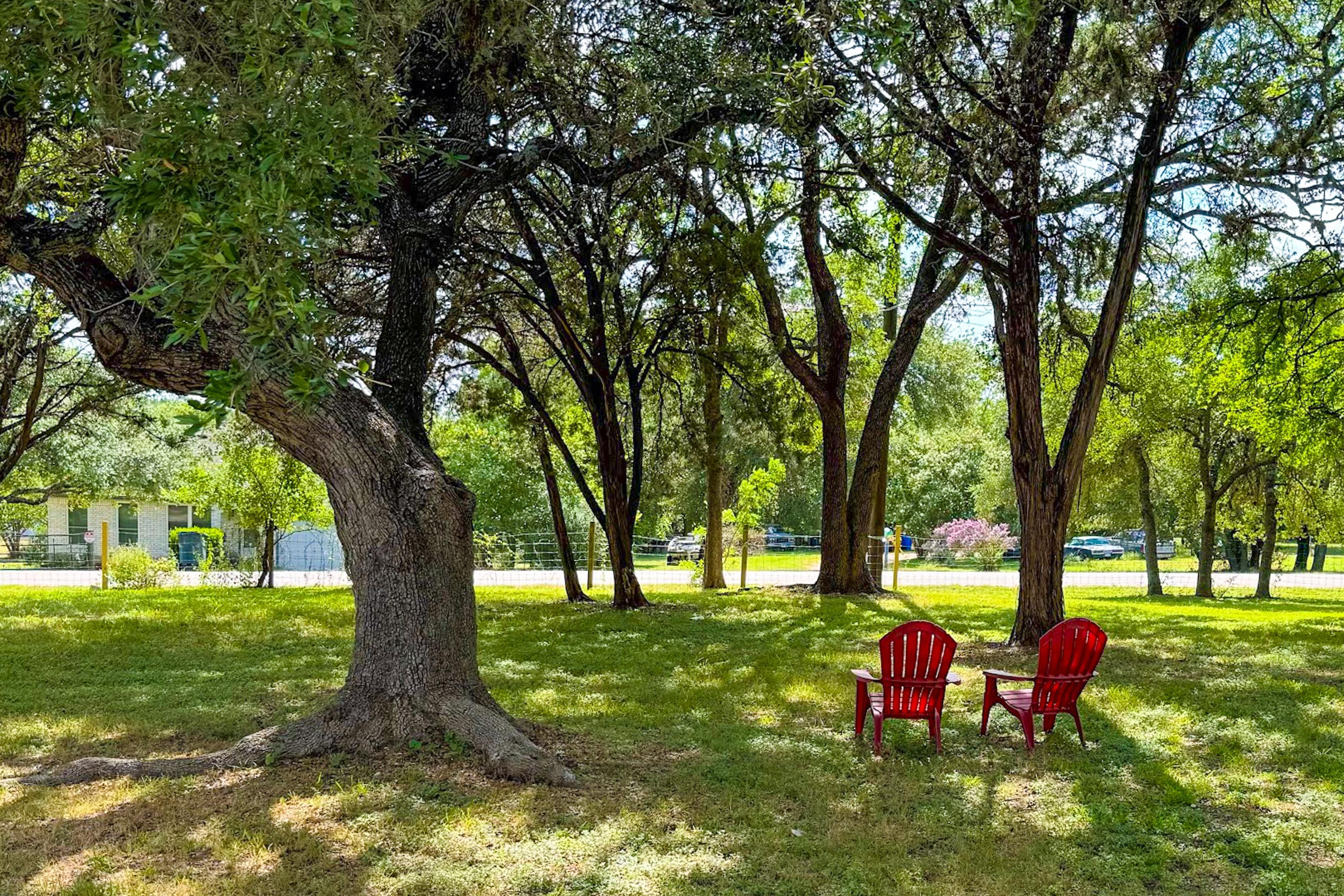 Relax & Unwind | Quiet Home w/ Trees
