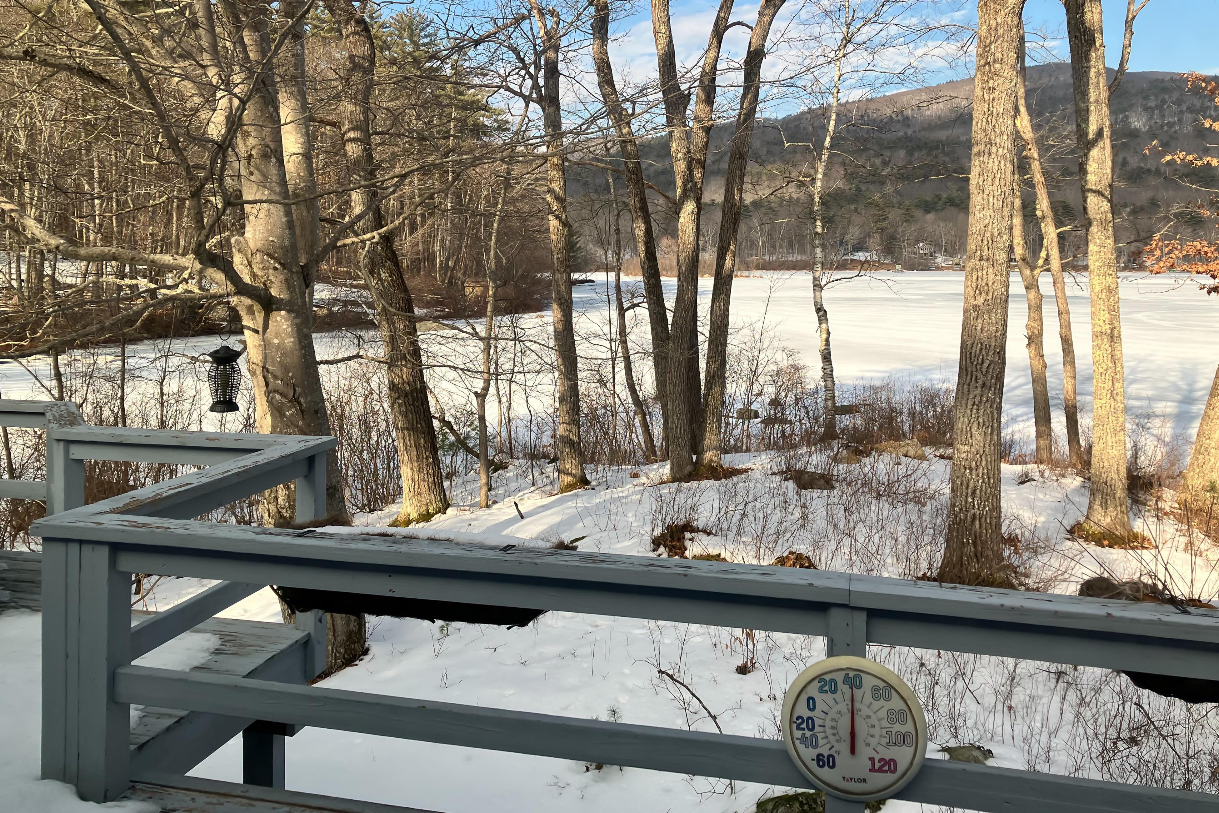The Blue Door Cabin 3