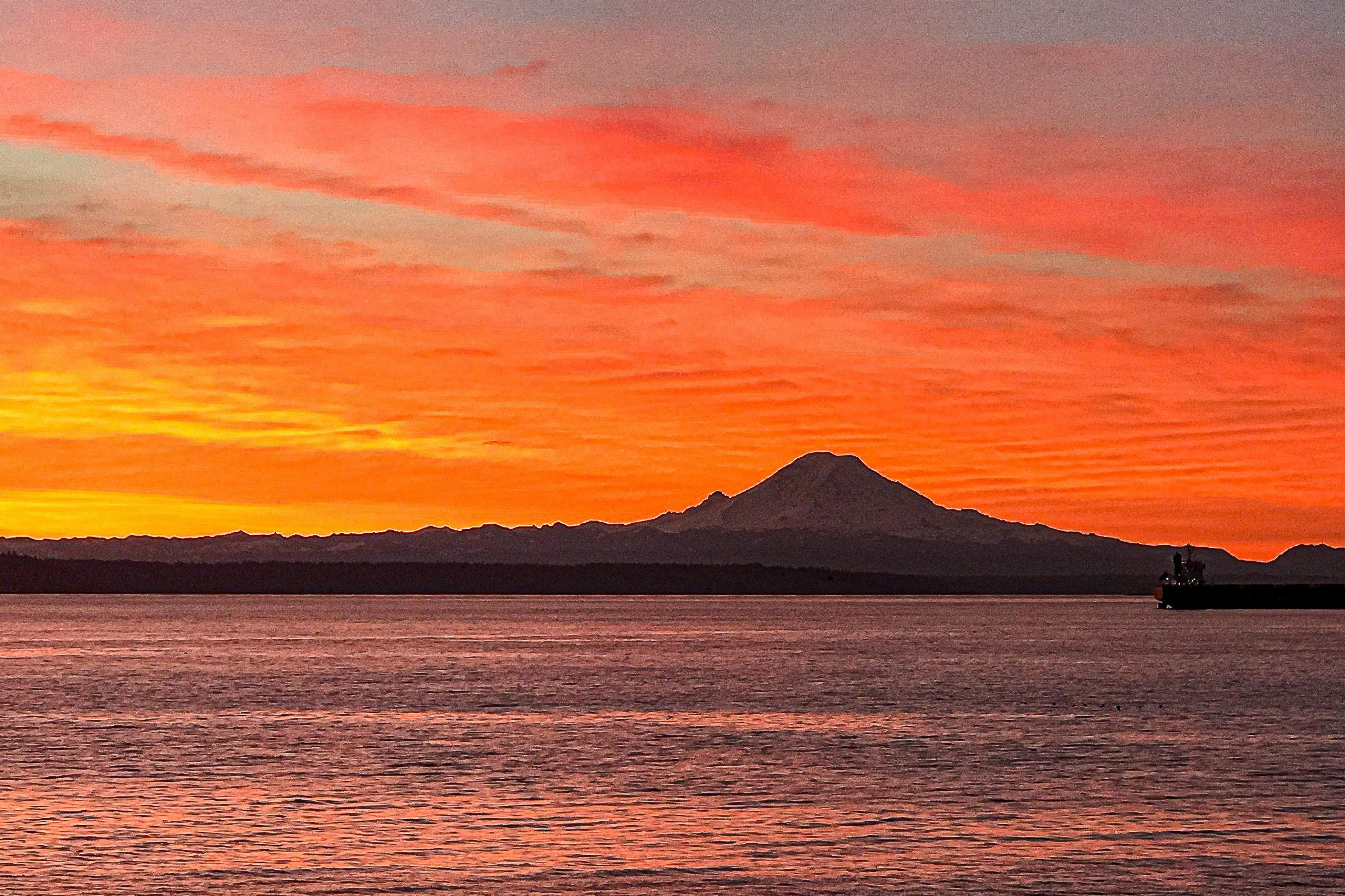 Rainier View Beach House 3