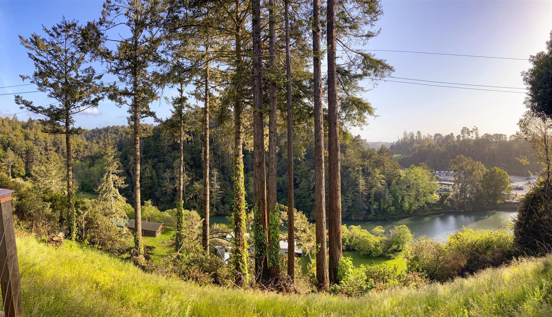 Riverview 6