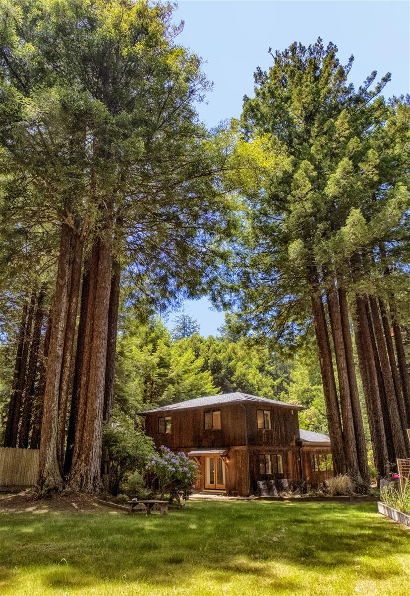 Serenity Grove 2